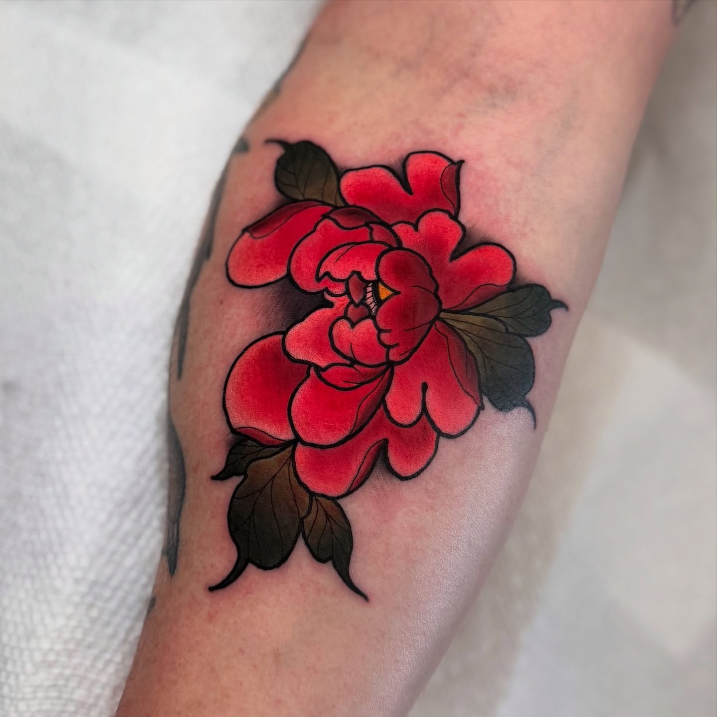 Red rose American traditional tattoo on the forearm by ๐ ๐ต๐๐๐๐๐ ๐ฎ๐๐๐๐๐๐๐๐๐