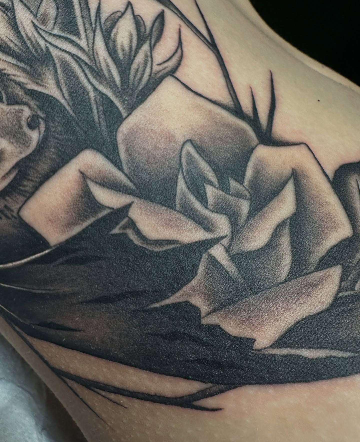 Succulent black and grey tattoo by Sam Minneci