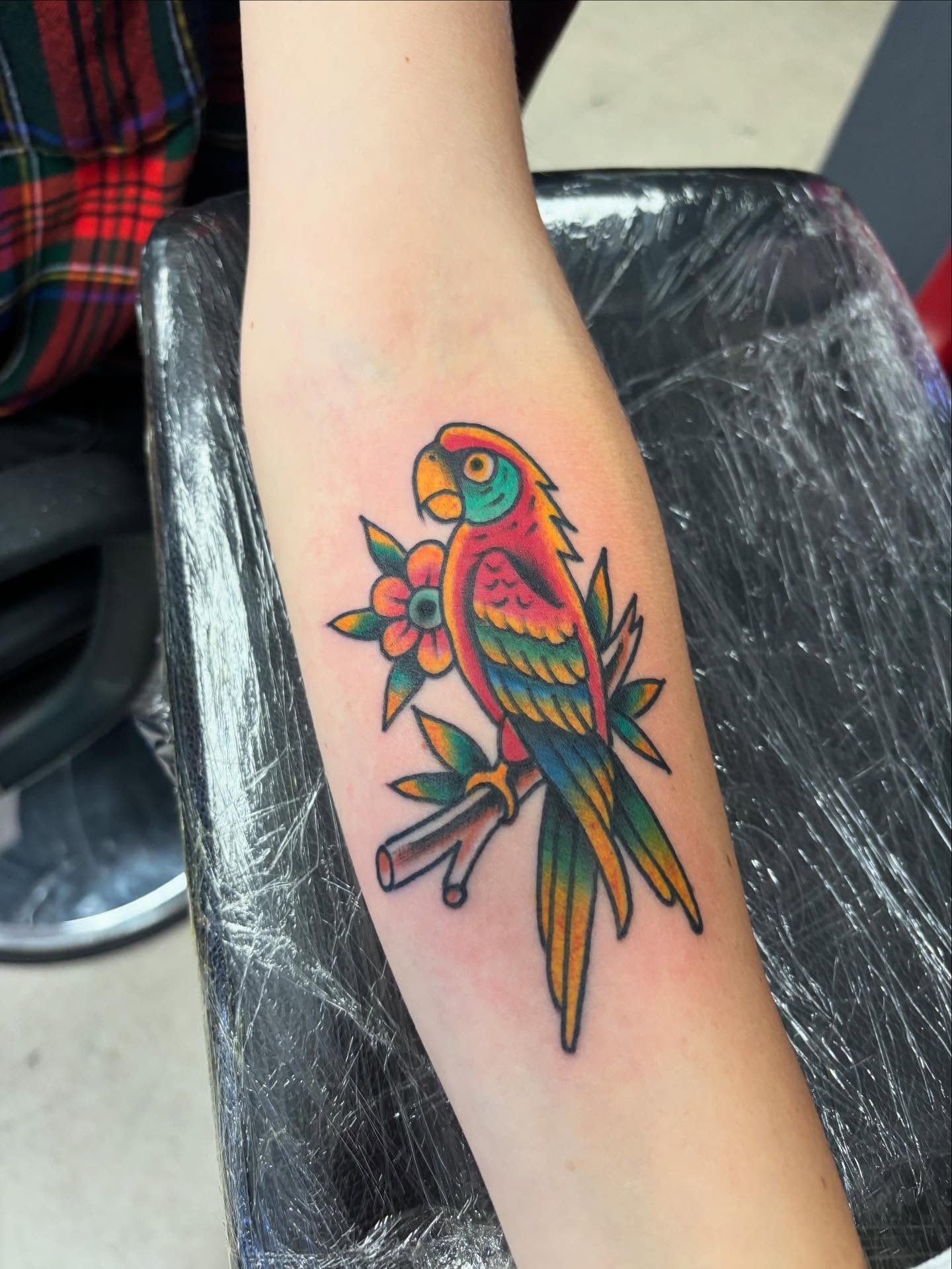 Parrot American traditional tattoo on the forearm by 18 and older High End Tattoo