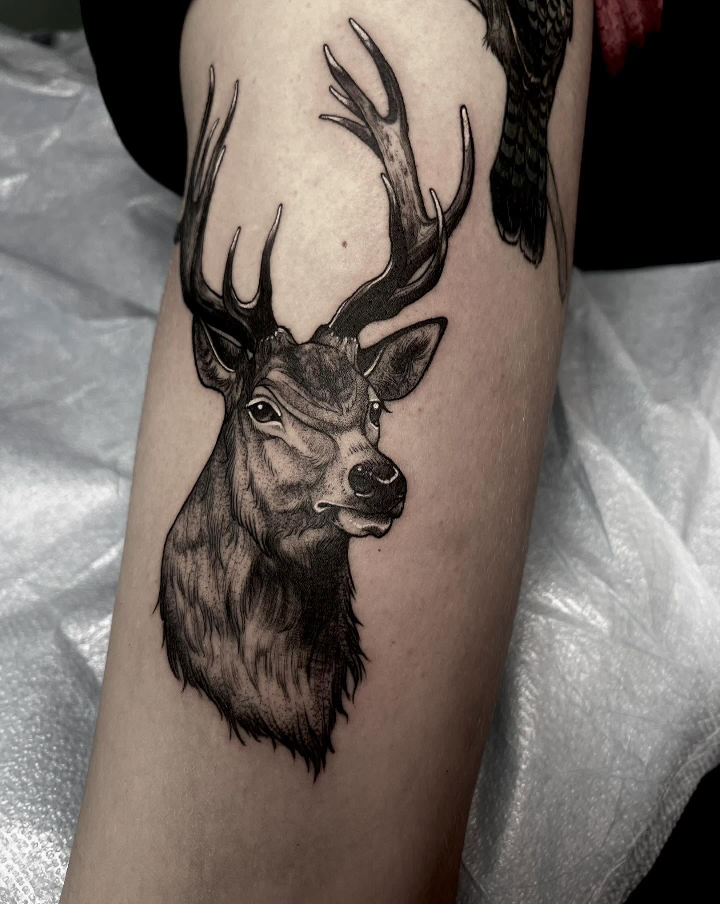 Deer head realism tattoo on the forearm by ༒ boniandi༒