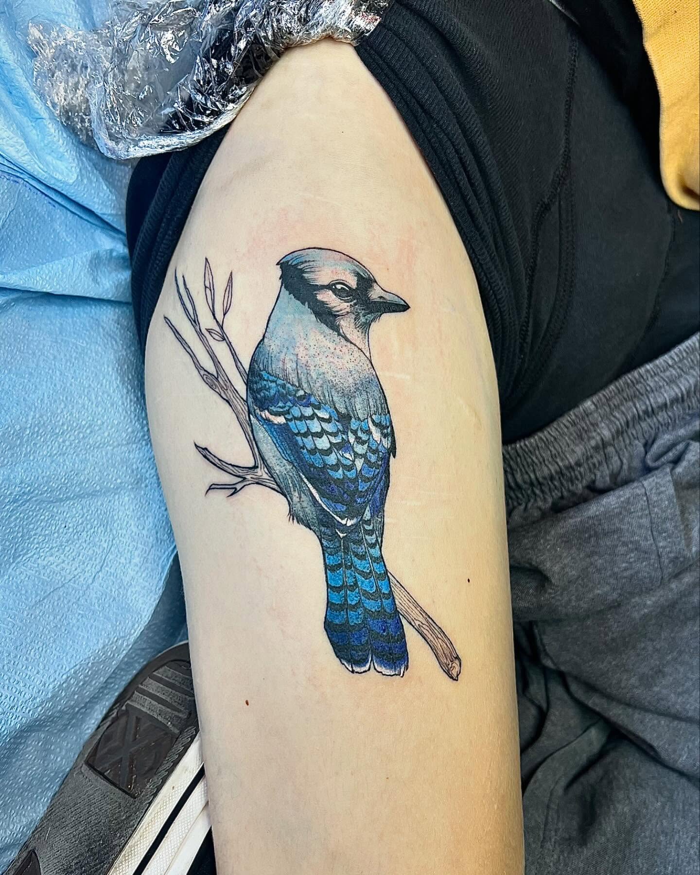 Blue jay realism tattoo on the forearm by ༒ boniandi༒