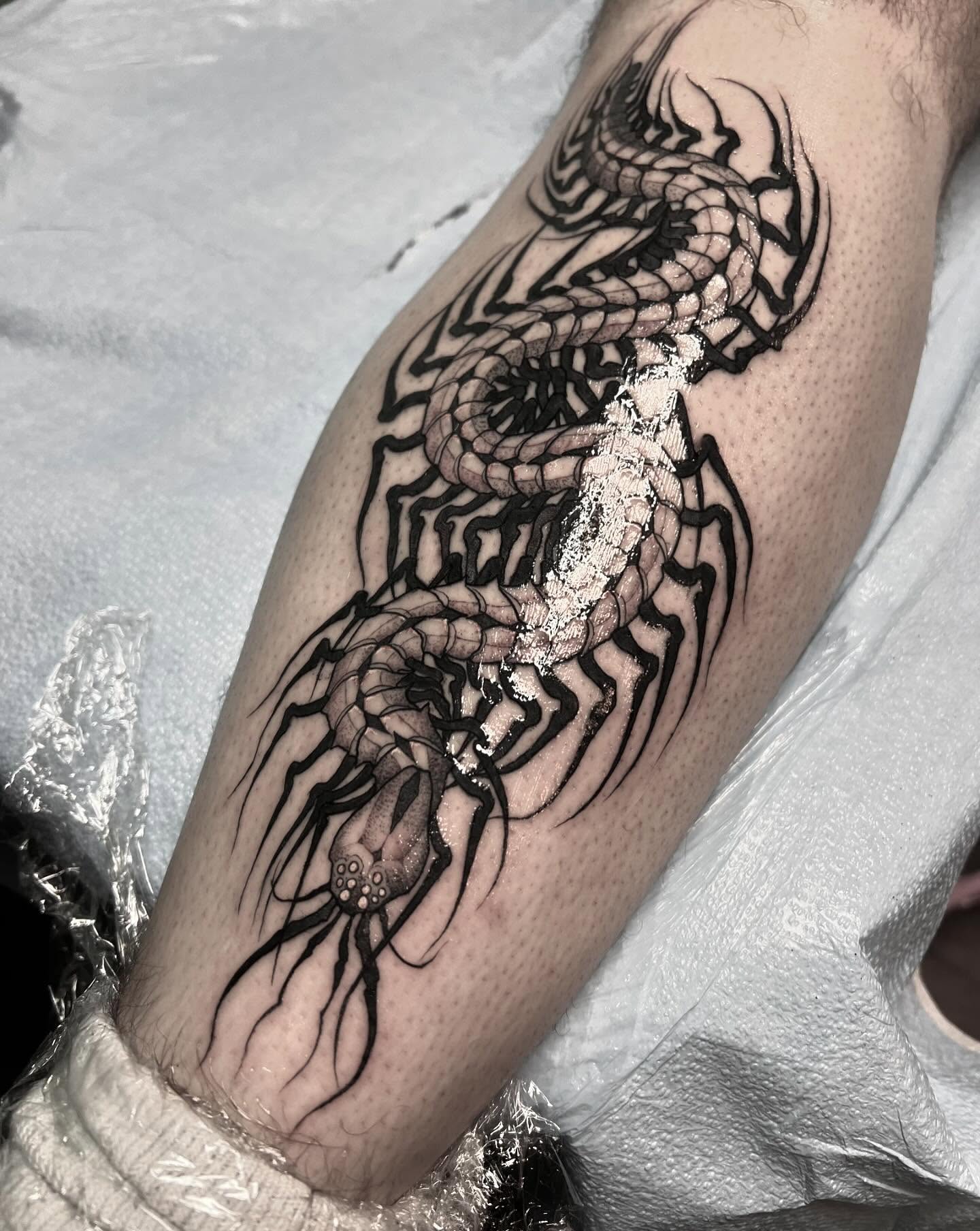 Centipede black and grey tattoo on the forearm by ༒ boniandi༒