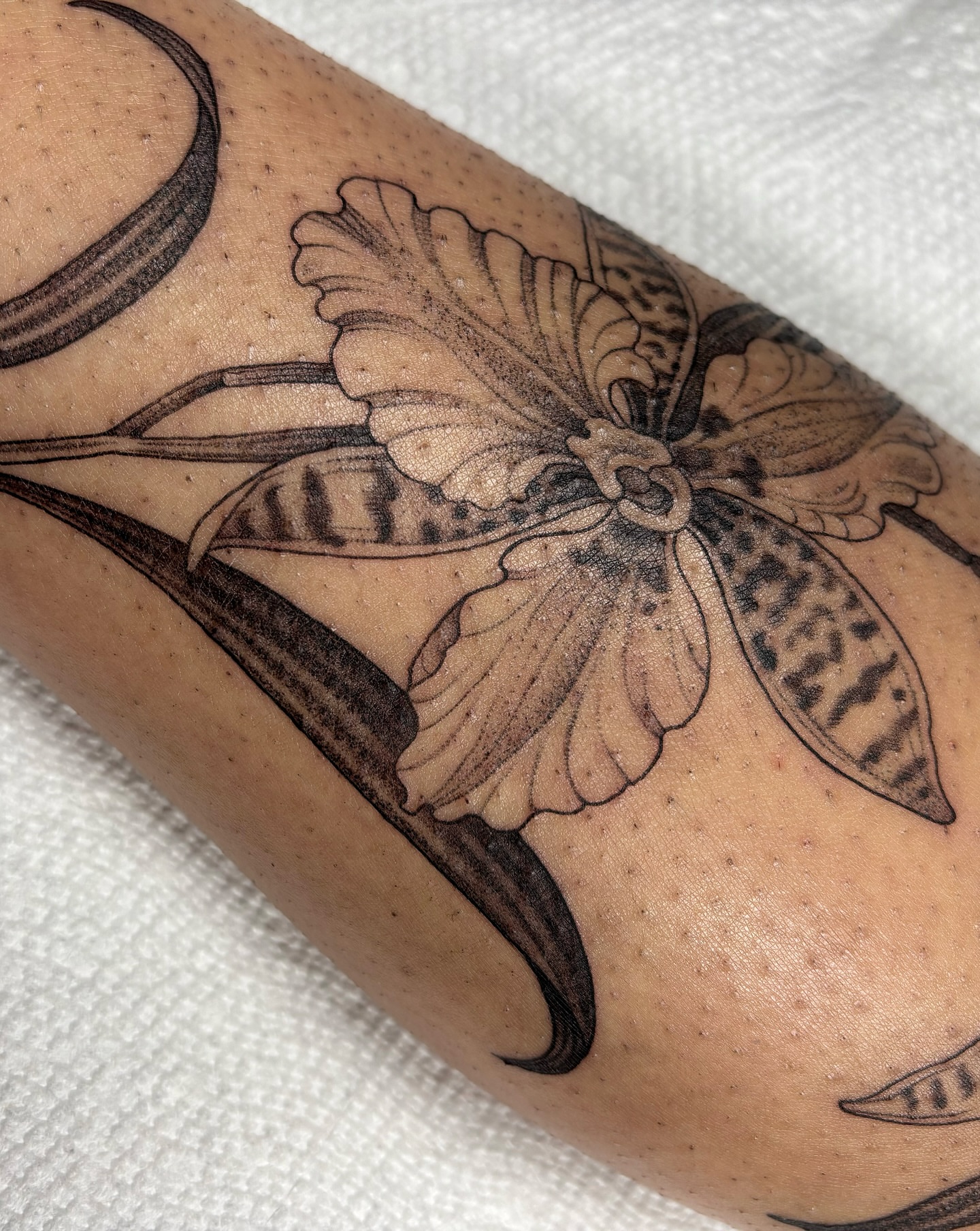 Tattoo by @kinseymillertattoo — black_and_grey