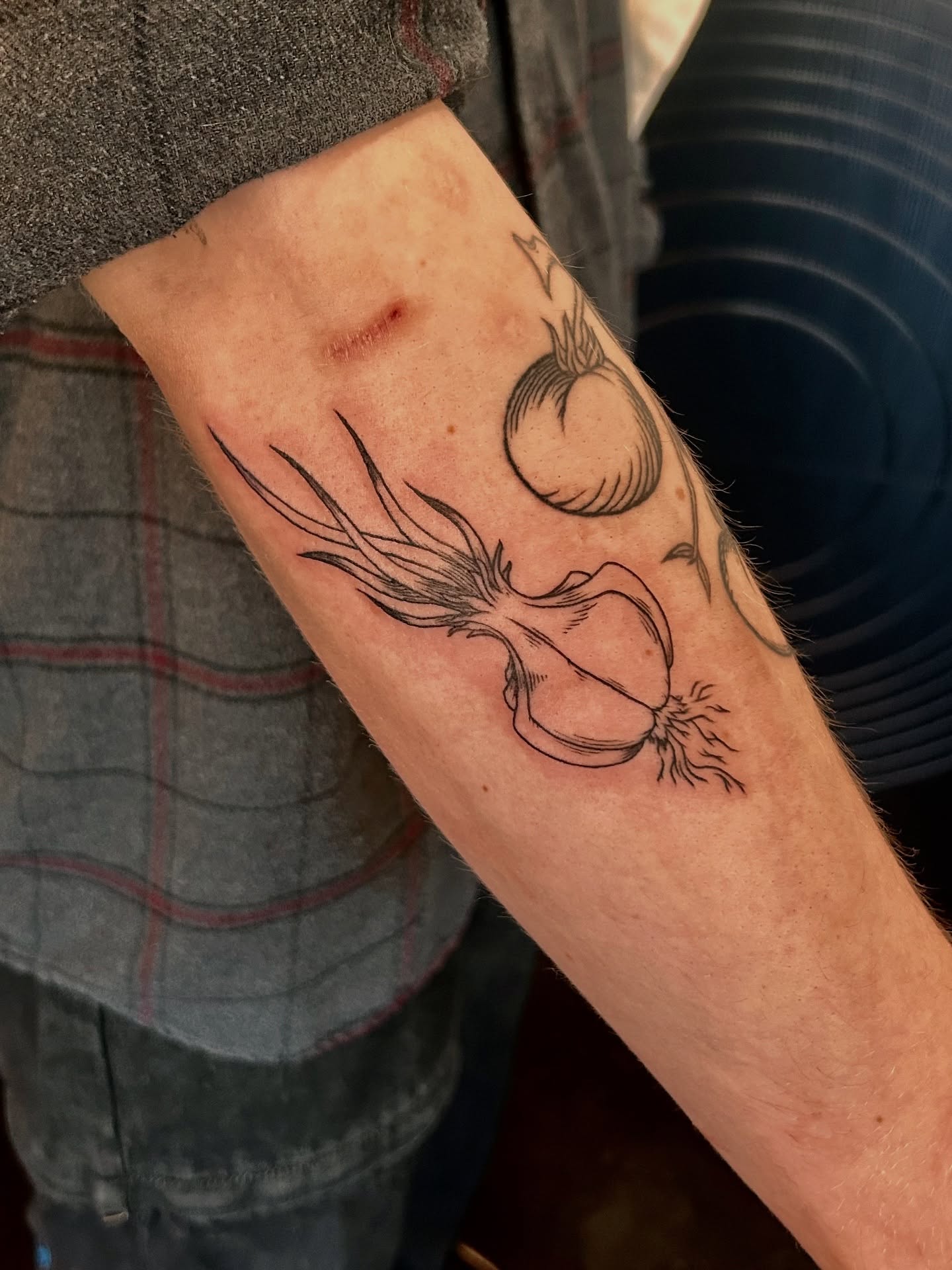Onion black and grey tattoo on the forearm by King By Trade 👑