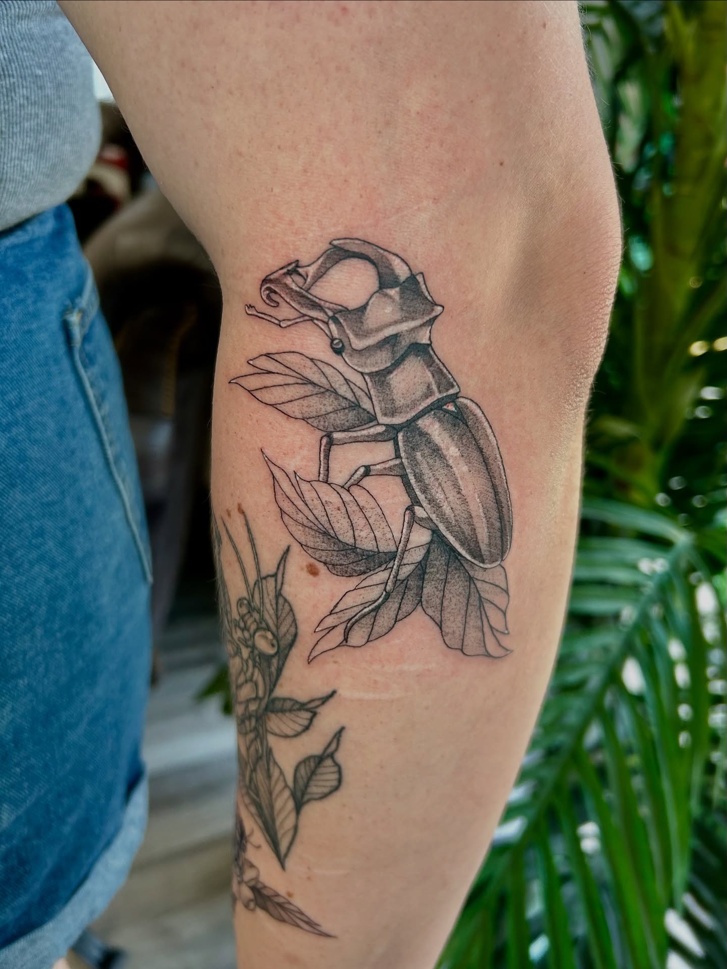 Stag beetle black and grey tattoo on the forearm by Taylor Heidtbrink