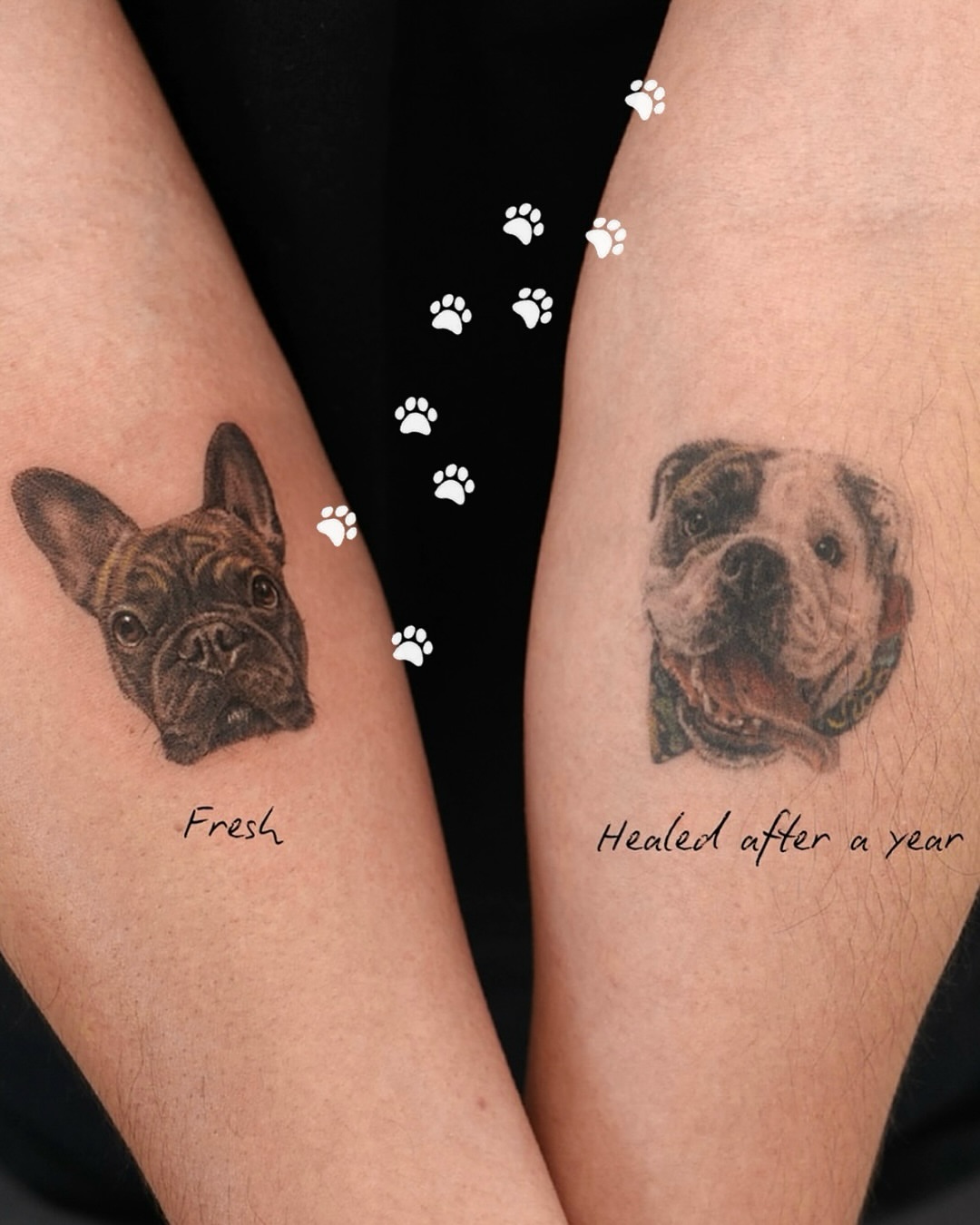 Dog portraits realism tattoo on the forearm by Ria Kim 김리아