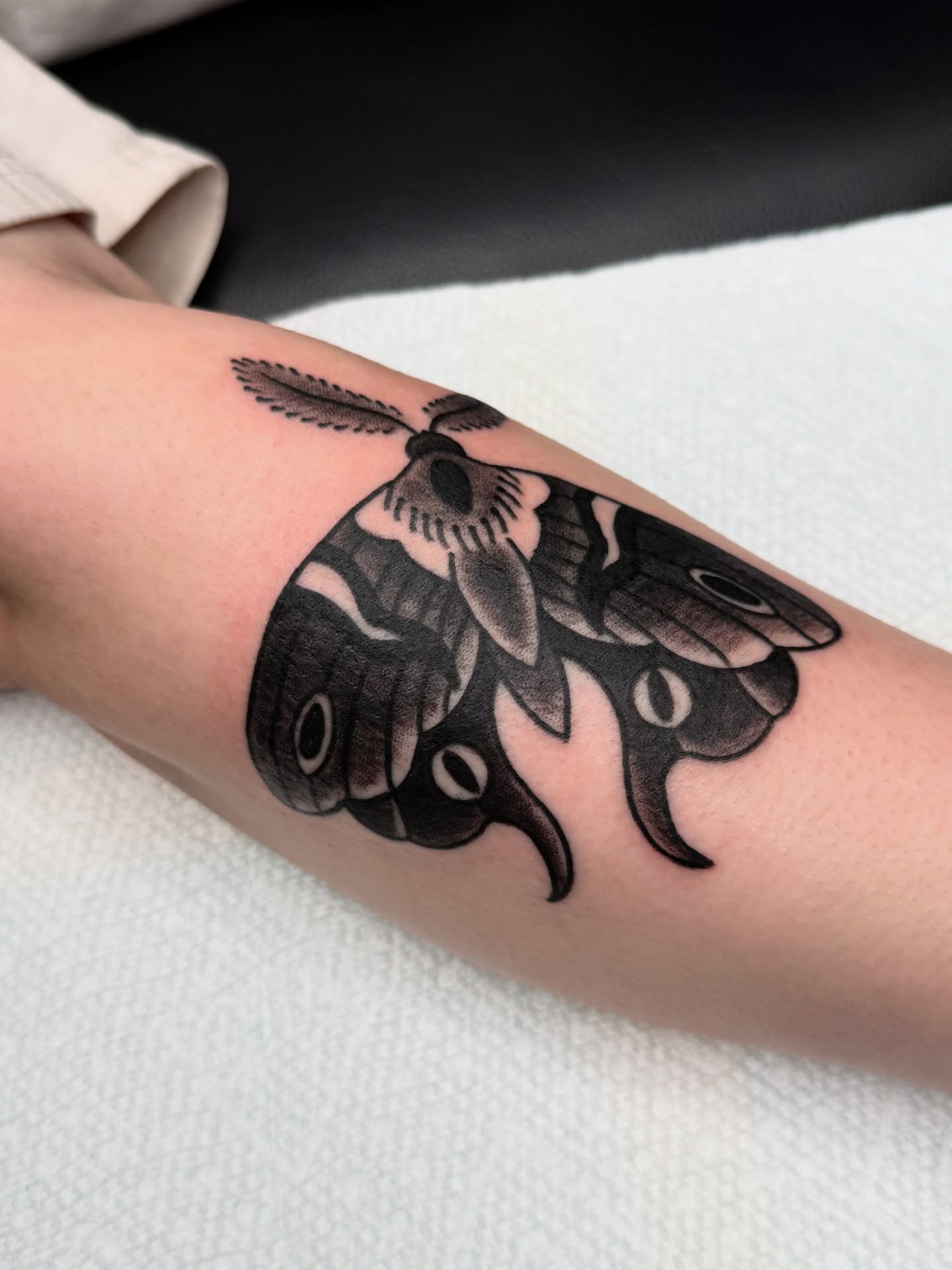 Moth black and grey tattoo on the forearm by Andre Guerra