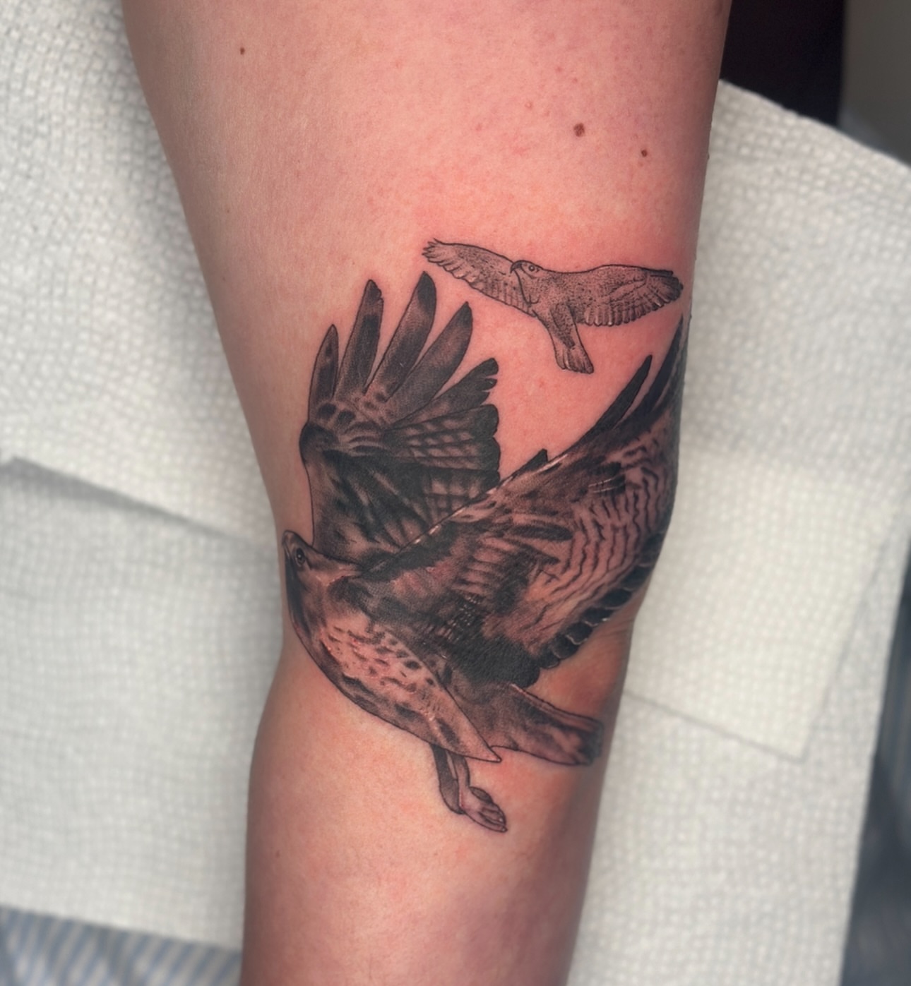 Birds realism tattoo on the forearm by Nashville Tattoo Artist - Nicolette Madlyne