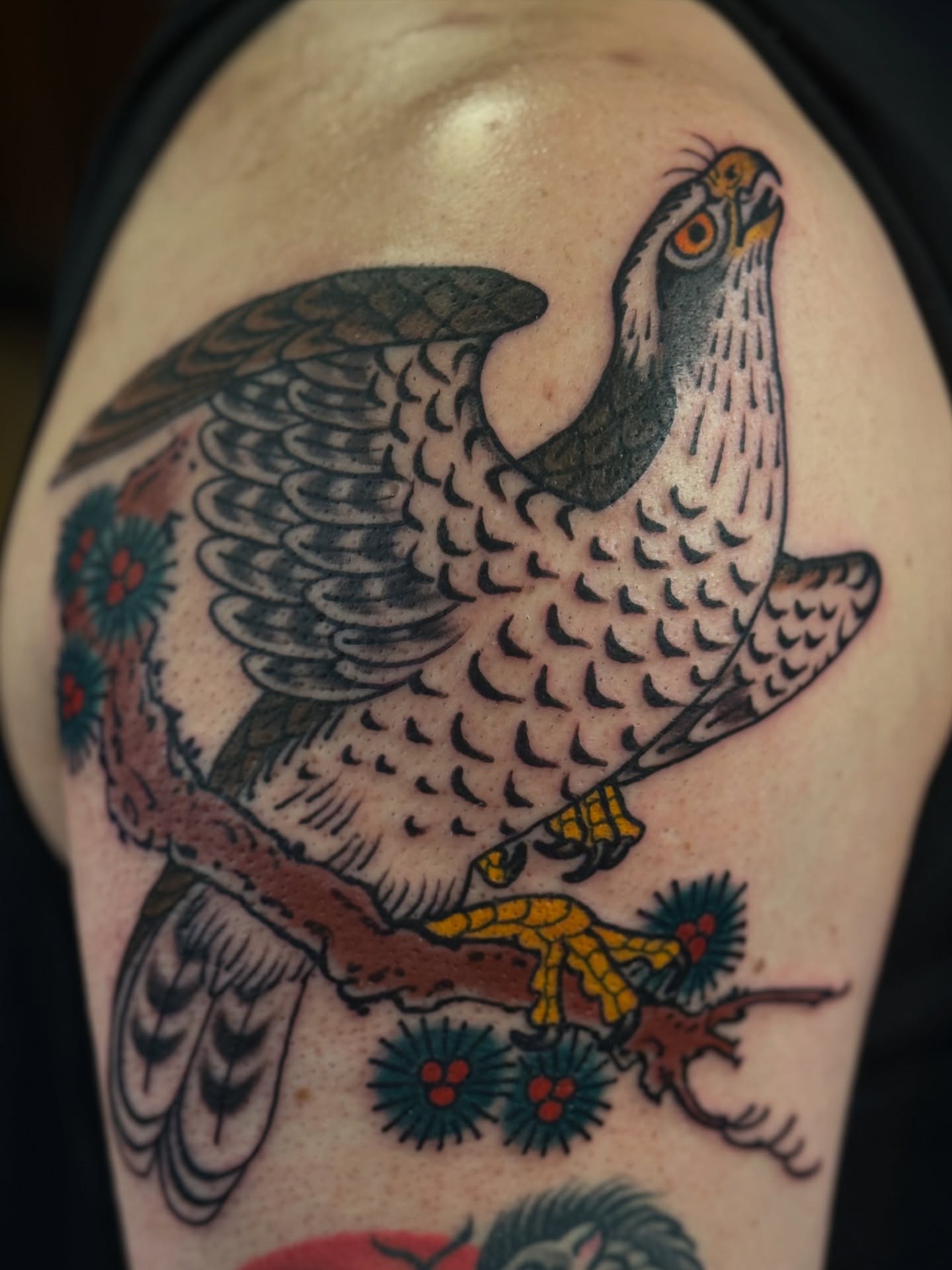 Hawk American traditional tattoo on the shoulder by Candi Kinyōbi