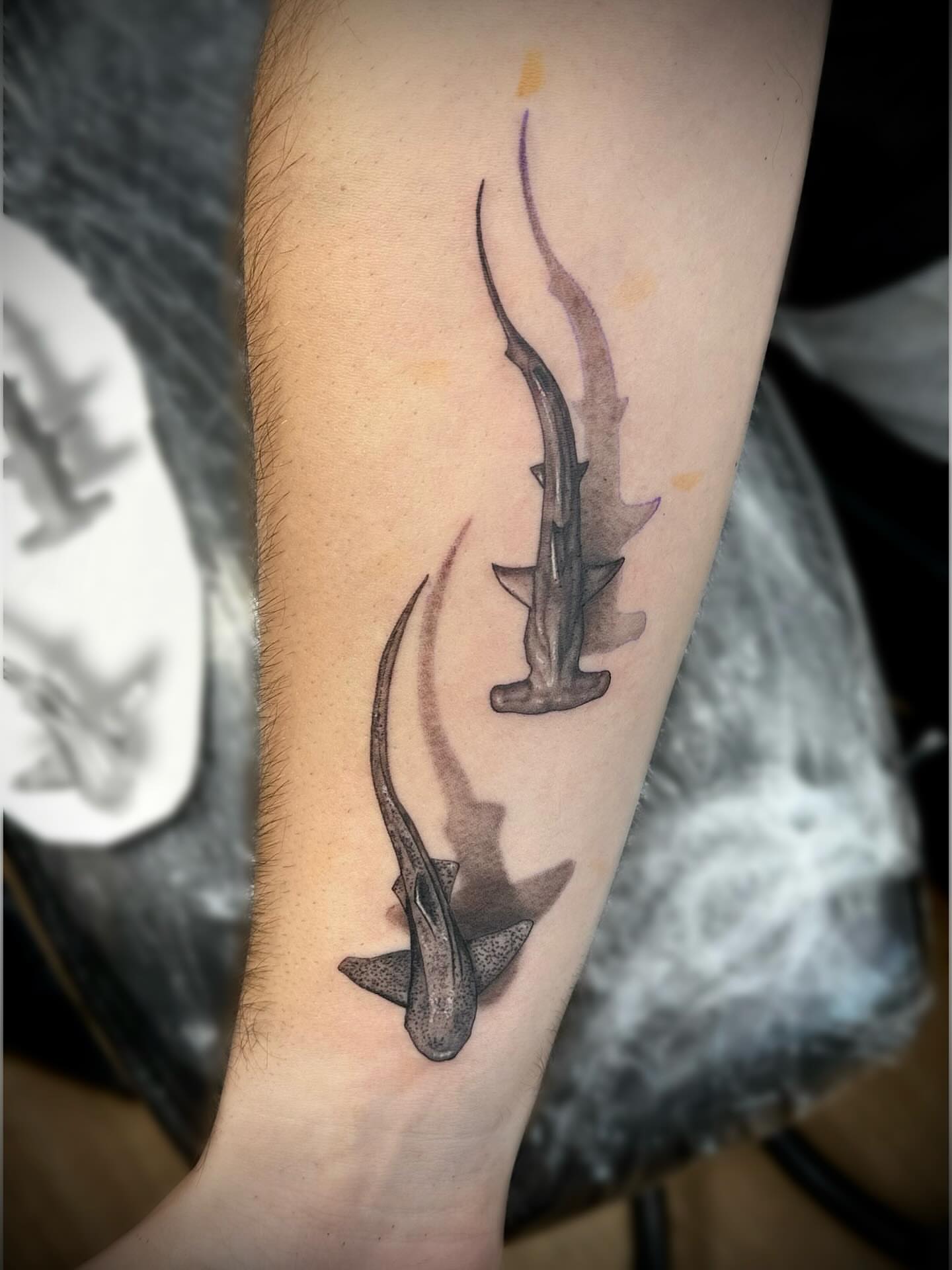 Hammerhead sharks realism tattoo on the forearm by Jack