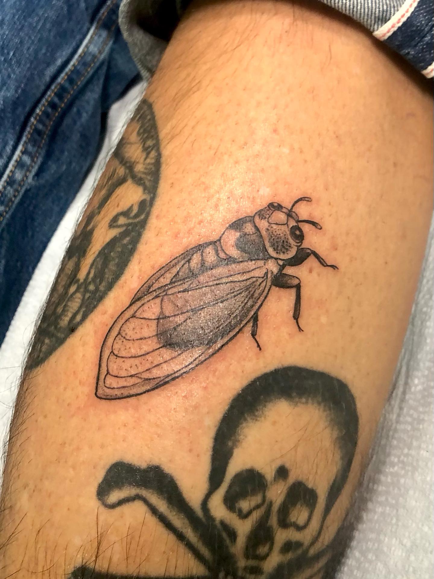 Cicada black and grey tattoo on the thigh by Leah Leinani