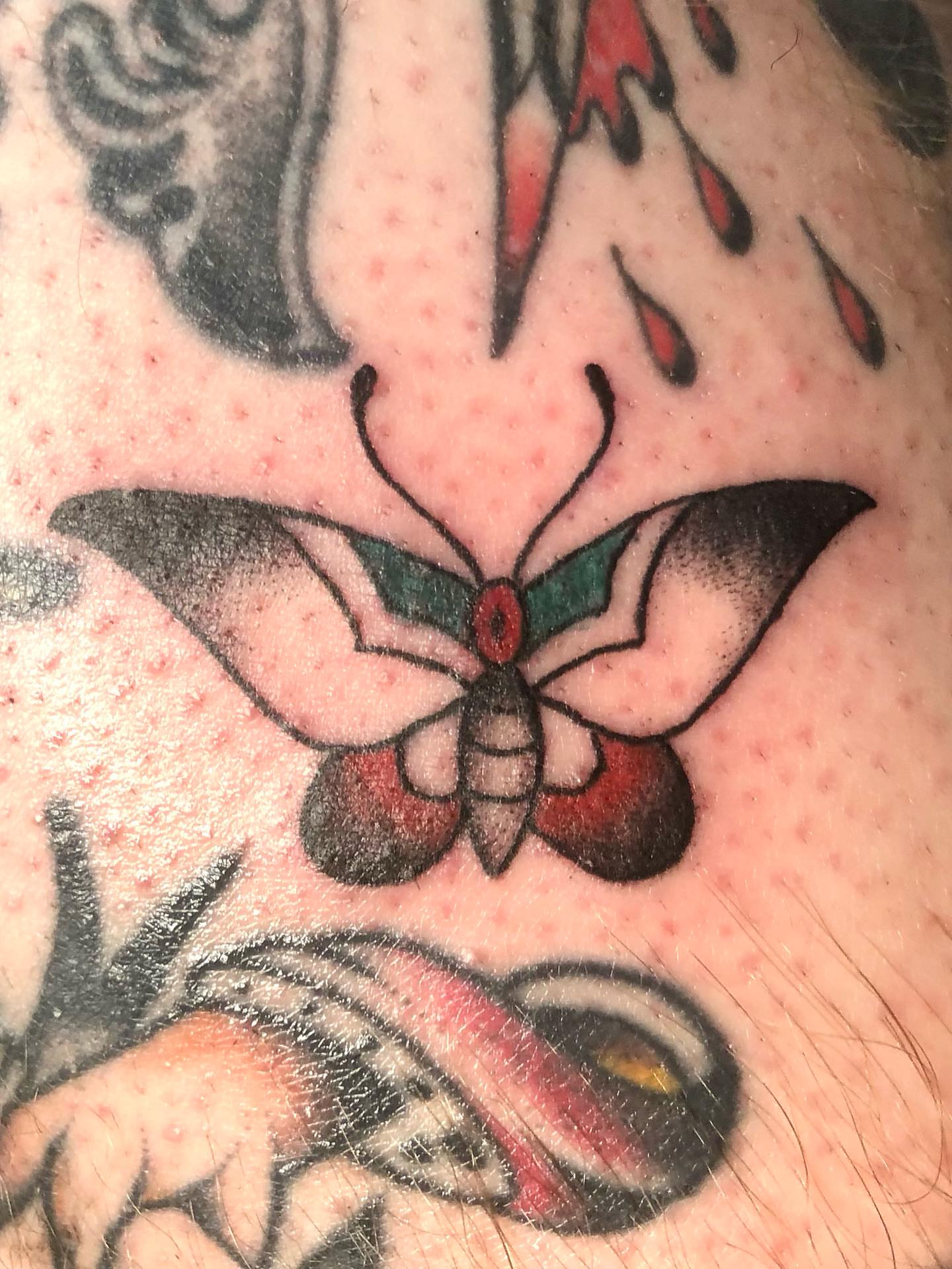Butterfly American traditional tattoo by Leah Leinani