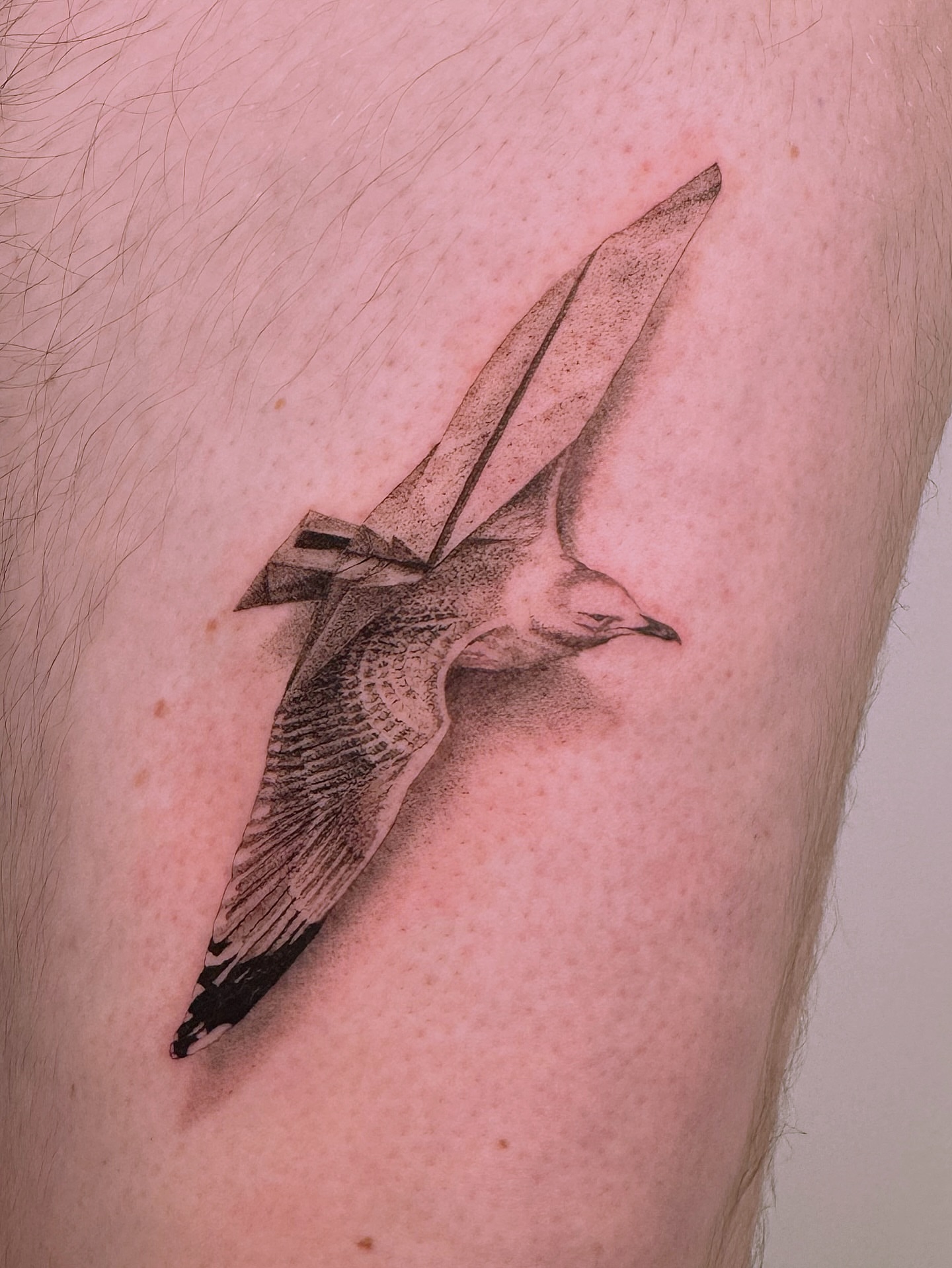 Tattoo by @redrooktattoo — realism