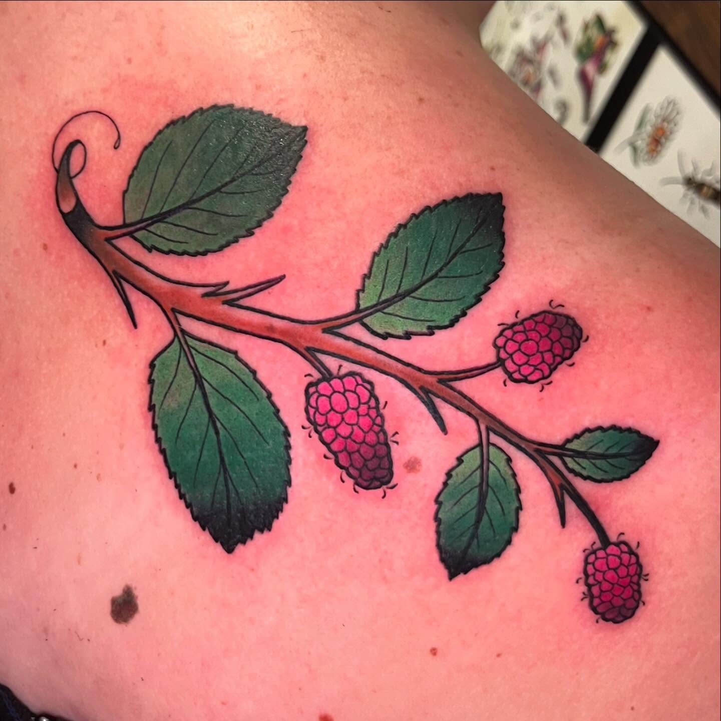 Raspberry branch realism tattoo on the shoulder by CJ Ligocki - Ferndale Detroit Michigan Tattoo, Ferndale, Michigan