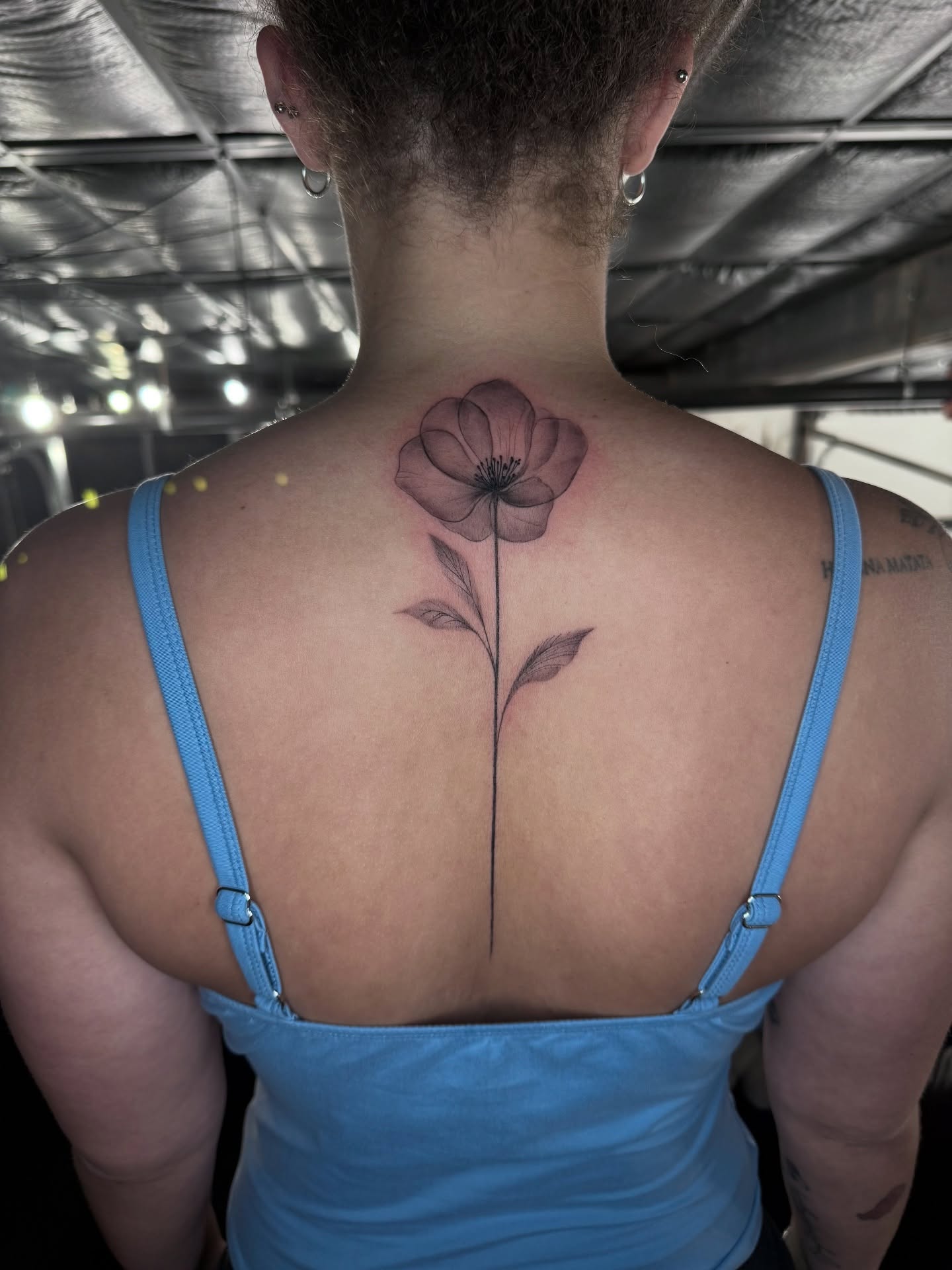 Flower black and grey tattoo on the back by πππππ βππ£π£ππ€ππ , Tucson, Arizona