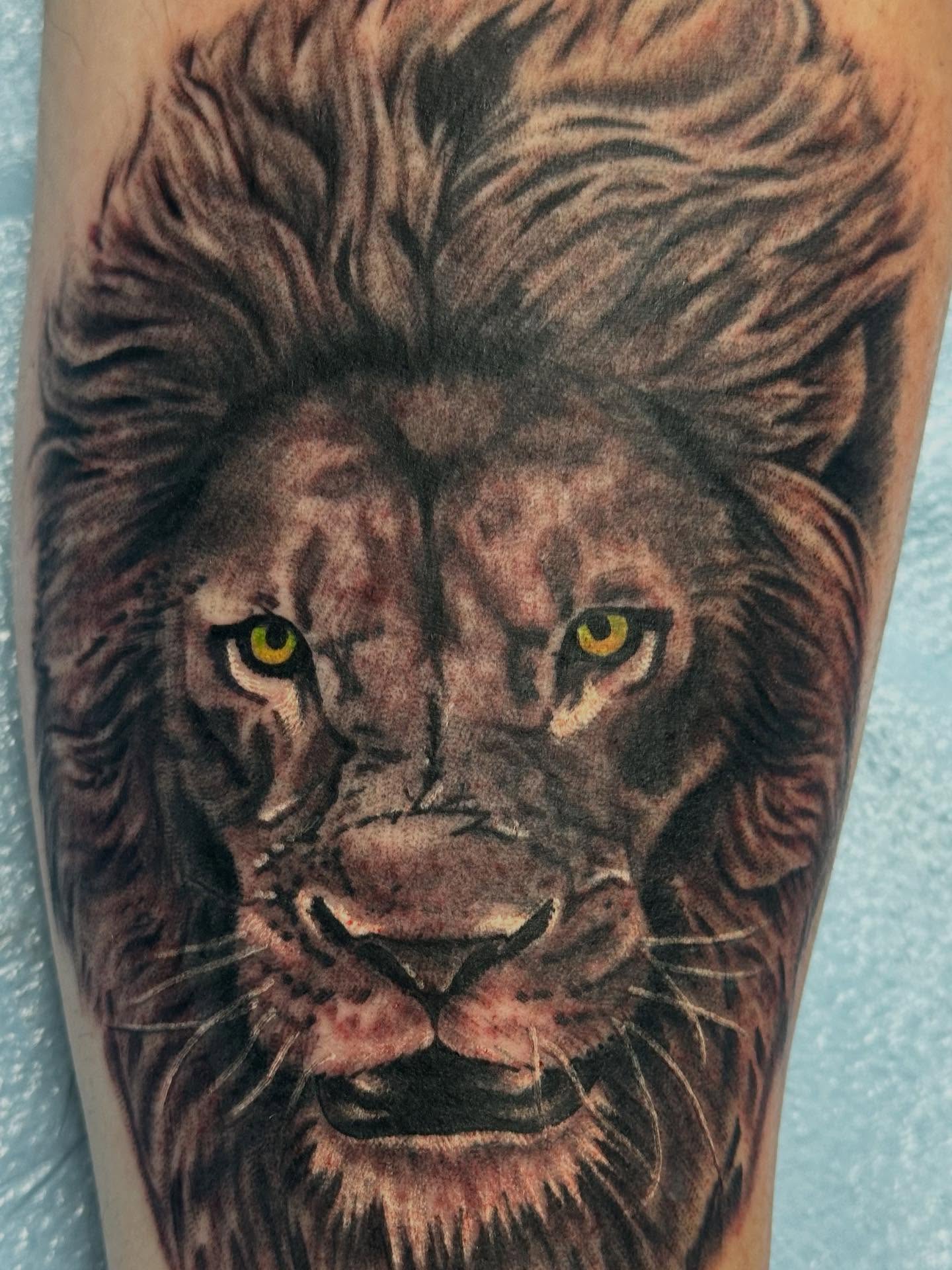 Lion realism tattoo on the forearm by KJ