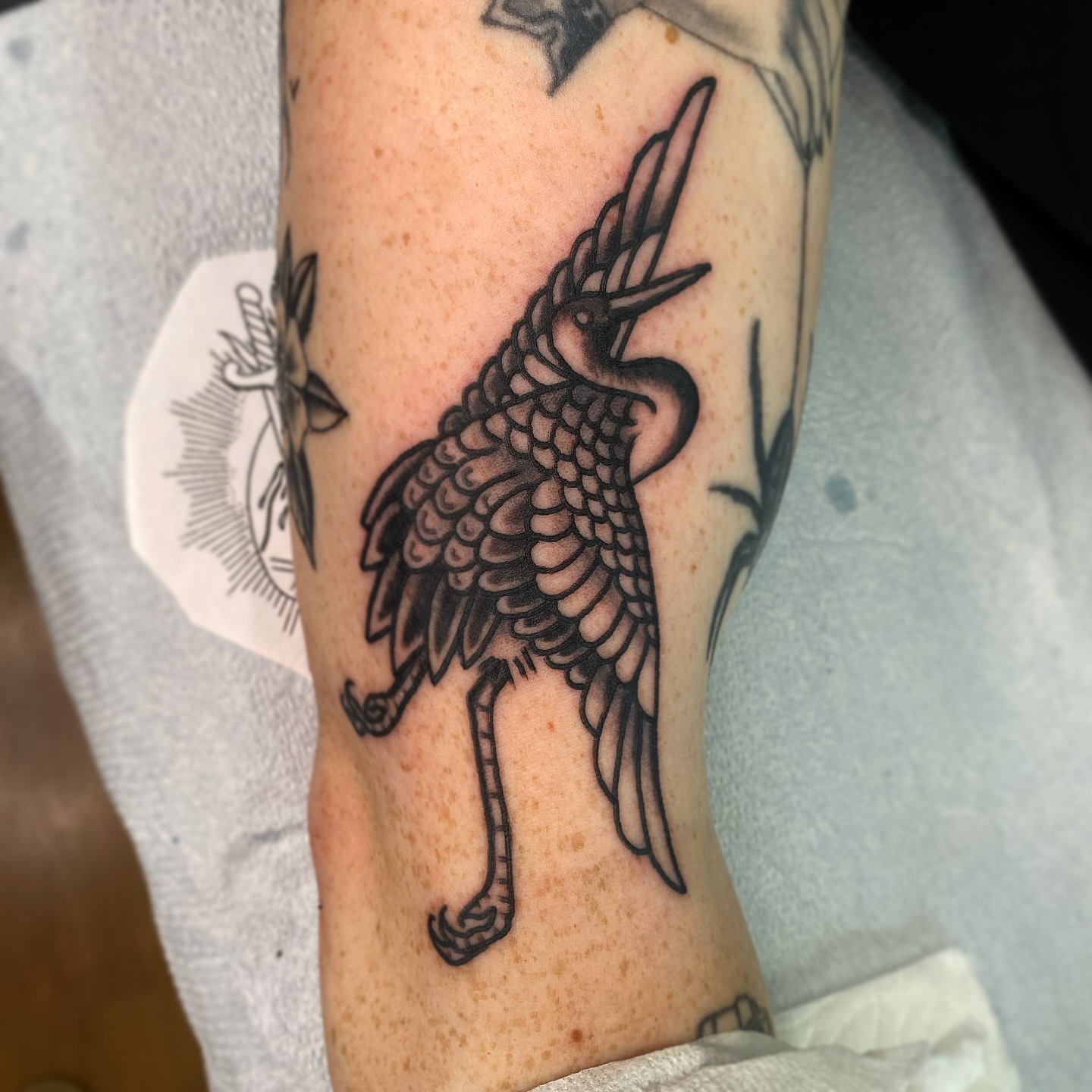 Bird black and grey tattoo on the forearm by Joey Delarosa, San Francisco, California