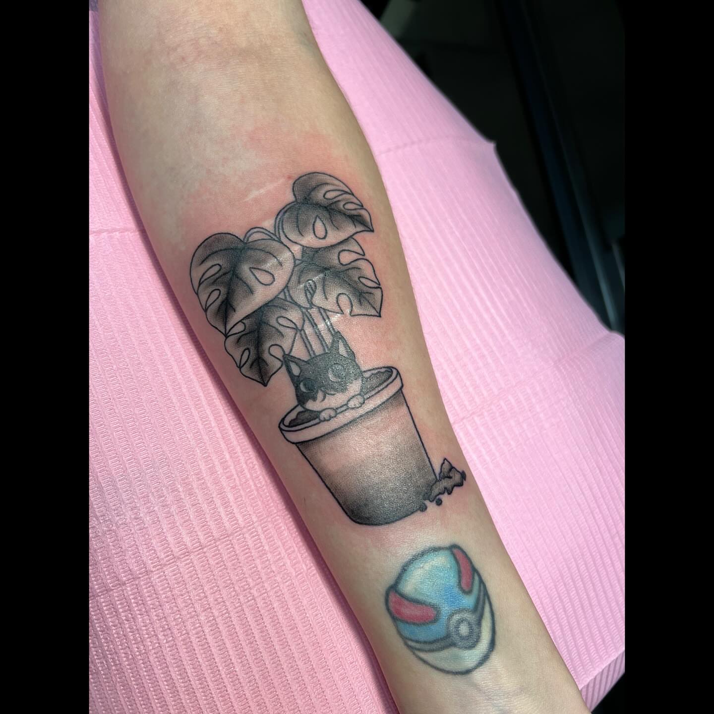 Cat in pot black and grey tattoo on the forearm by Ali, Cedar Rapids, Iowa