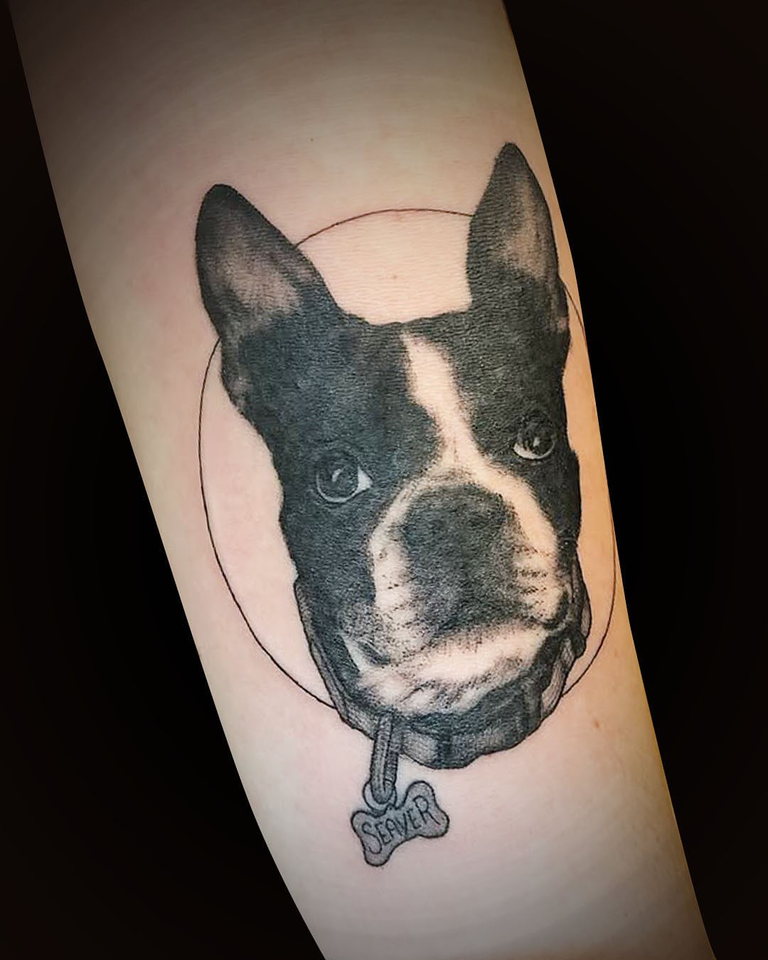 Dog realism tattoo on the forearm by Lake Stephens, Richmond, Virginia