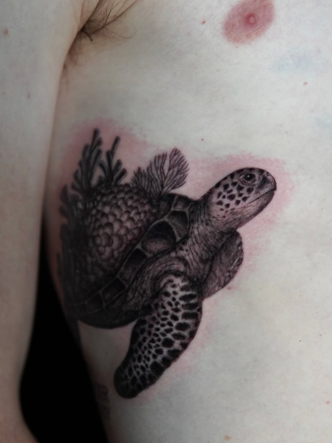 Tattoo by @catgirltattoo — realism