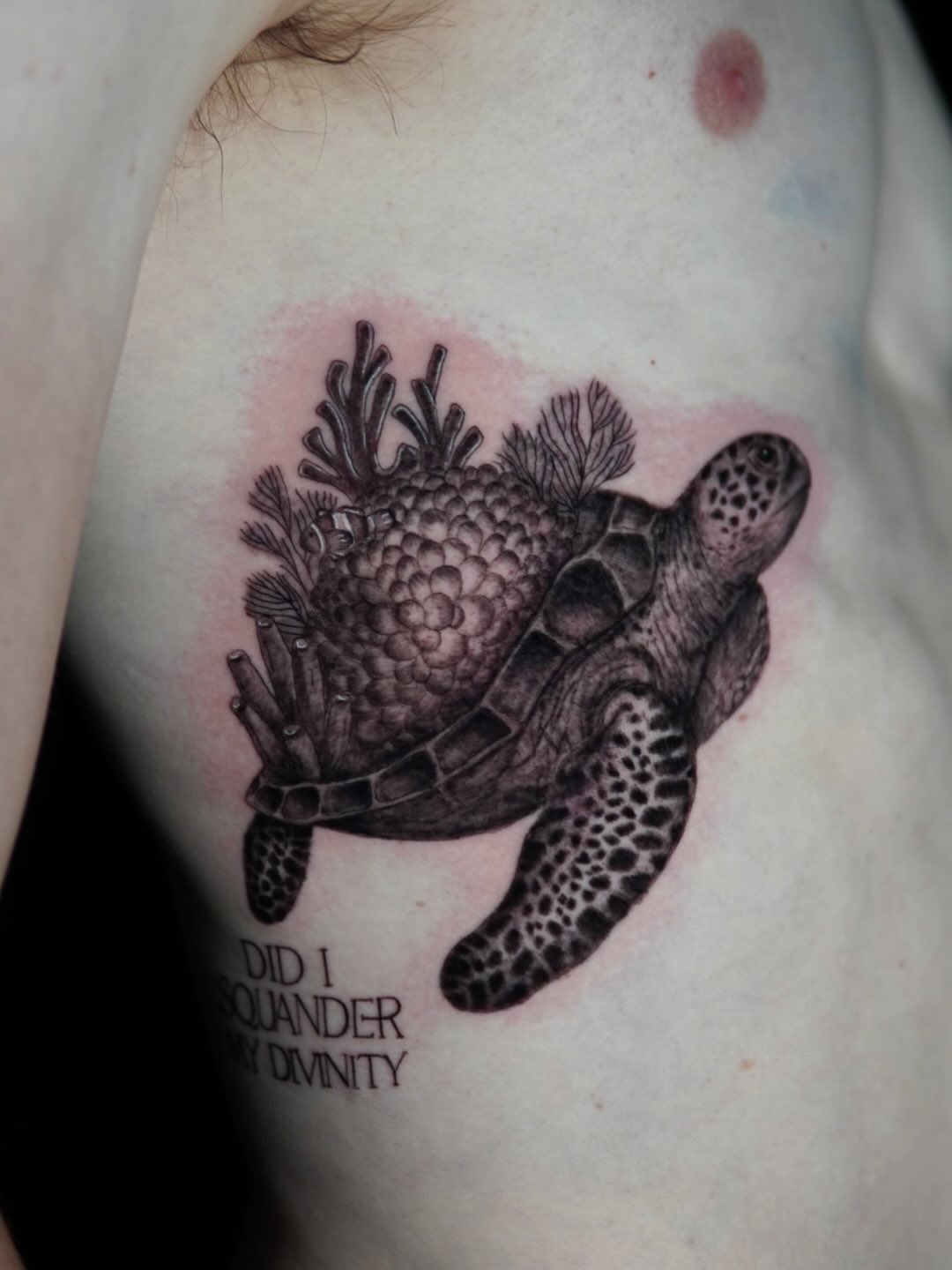 Tattoo by @catgirltattoo — realism, black_and_grey