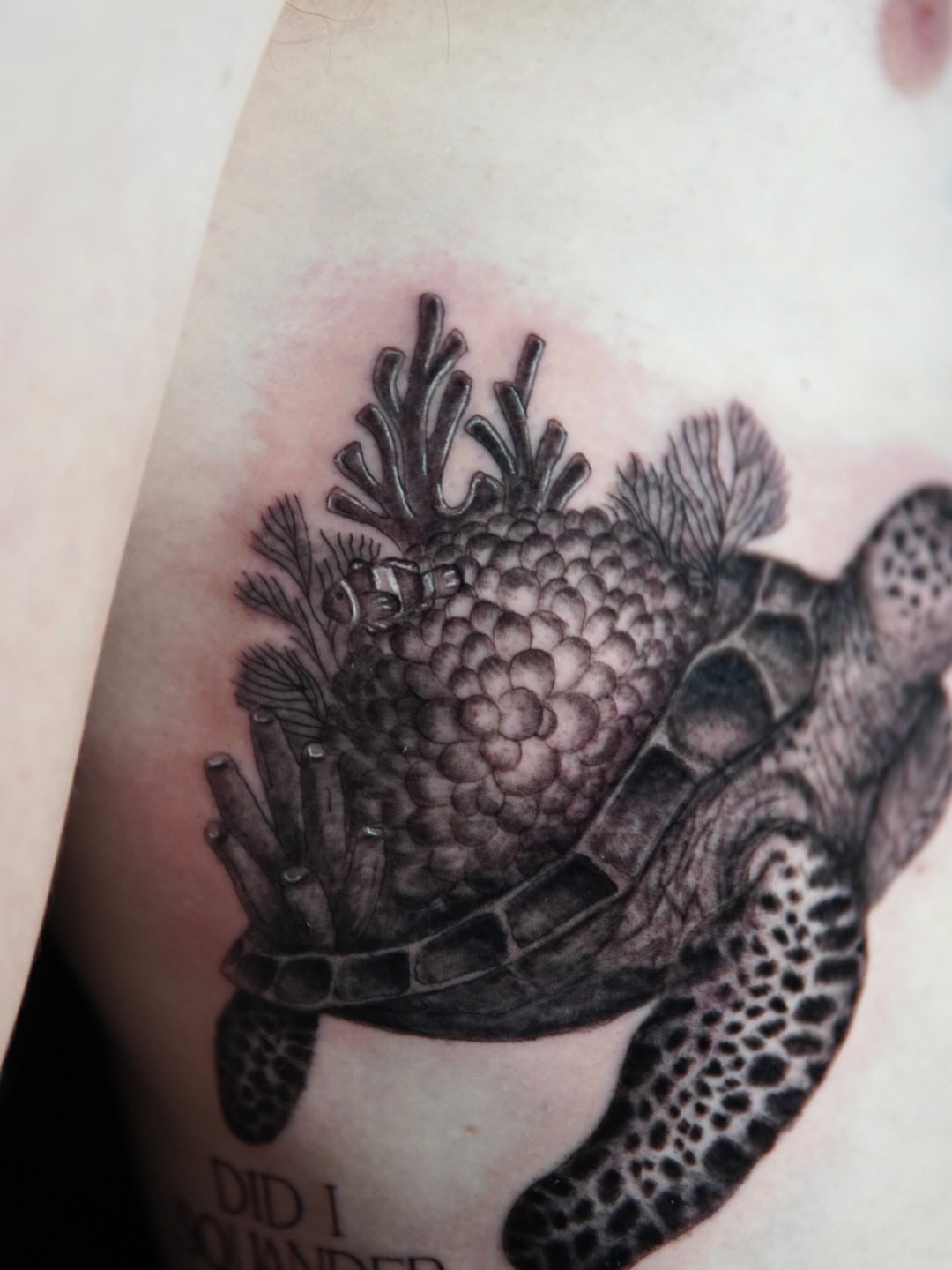 Tattoo by @catgirltattoo — black_and_grey, realism