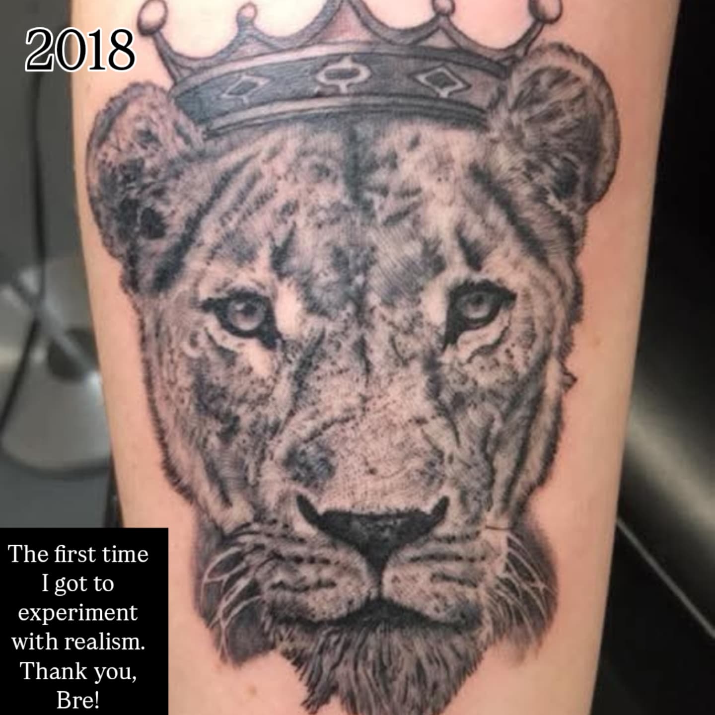 Lion realism tattoo on the forearm by Zach Mullins