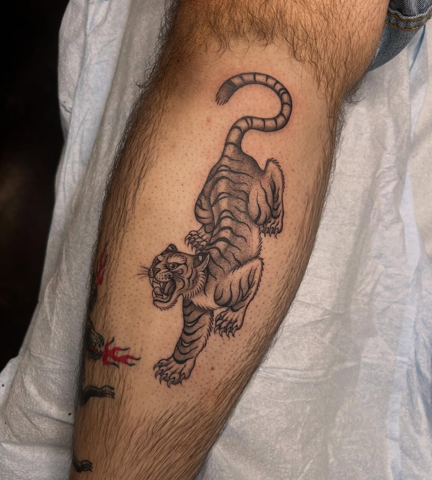 Tiger black and grey tattoo on the forearm by Tasha Venola, Bellingham, Washington
