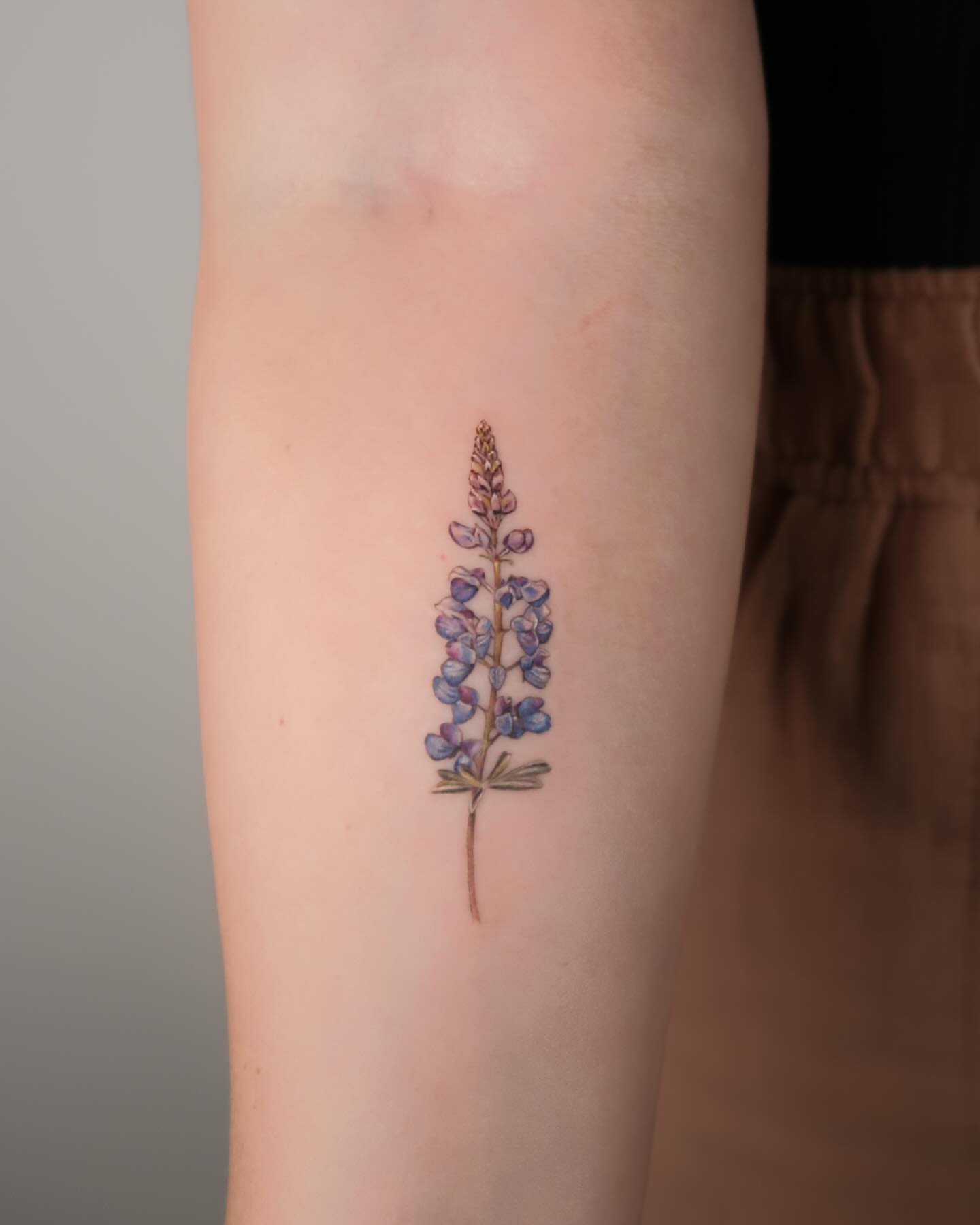 Lupine flower realism tattoo on the forearm by Alissa Jung