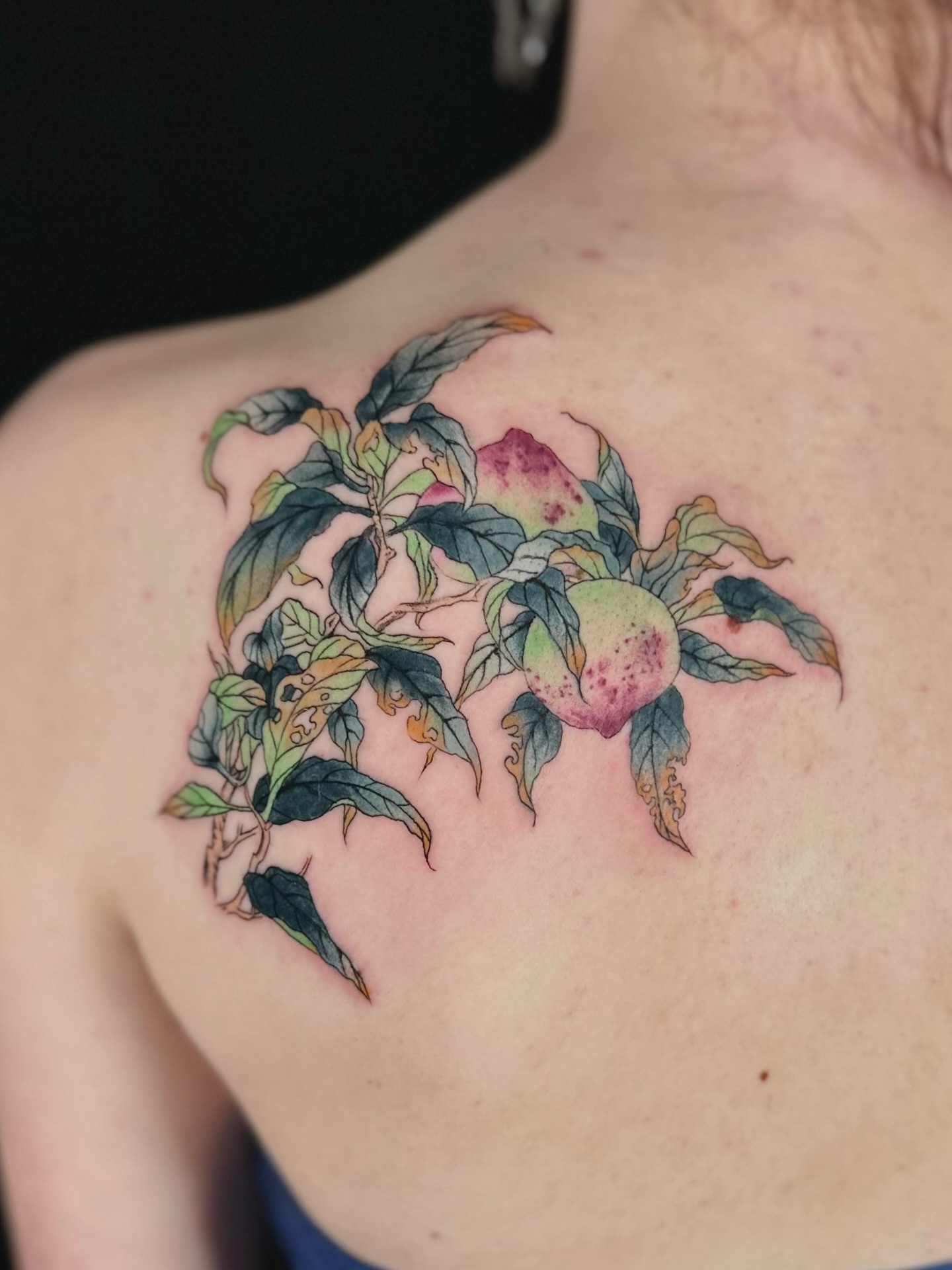 Peach tree watercolor tattoo on the shoulder by Abi