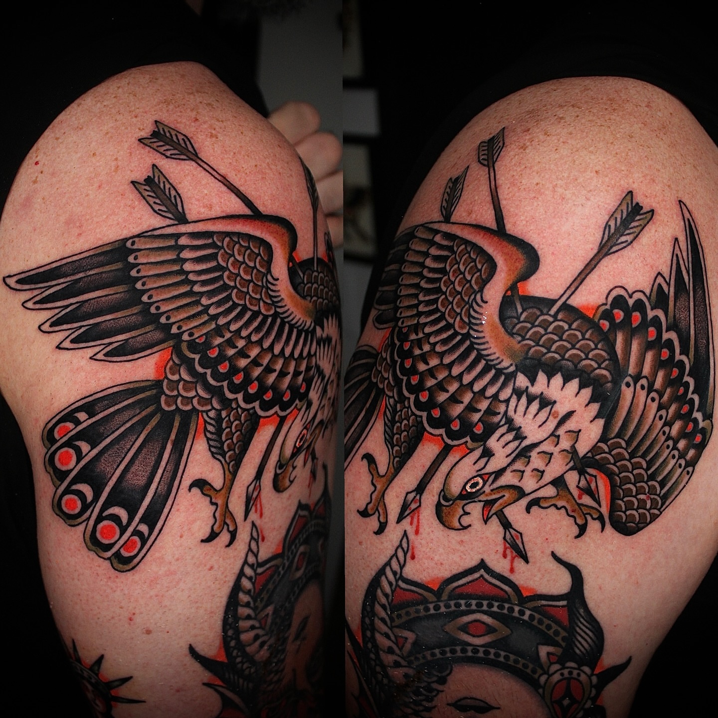 Phoenix American traditional tattoo on the shoulder by Dustin Stemen, Charlotte, North Carolina