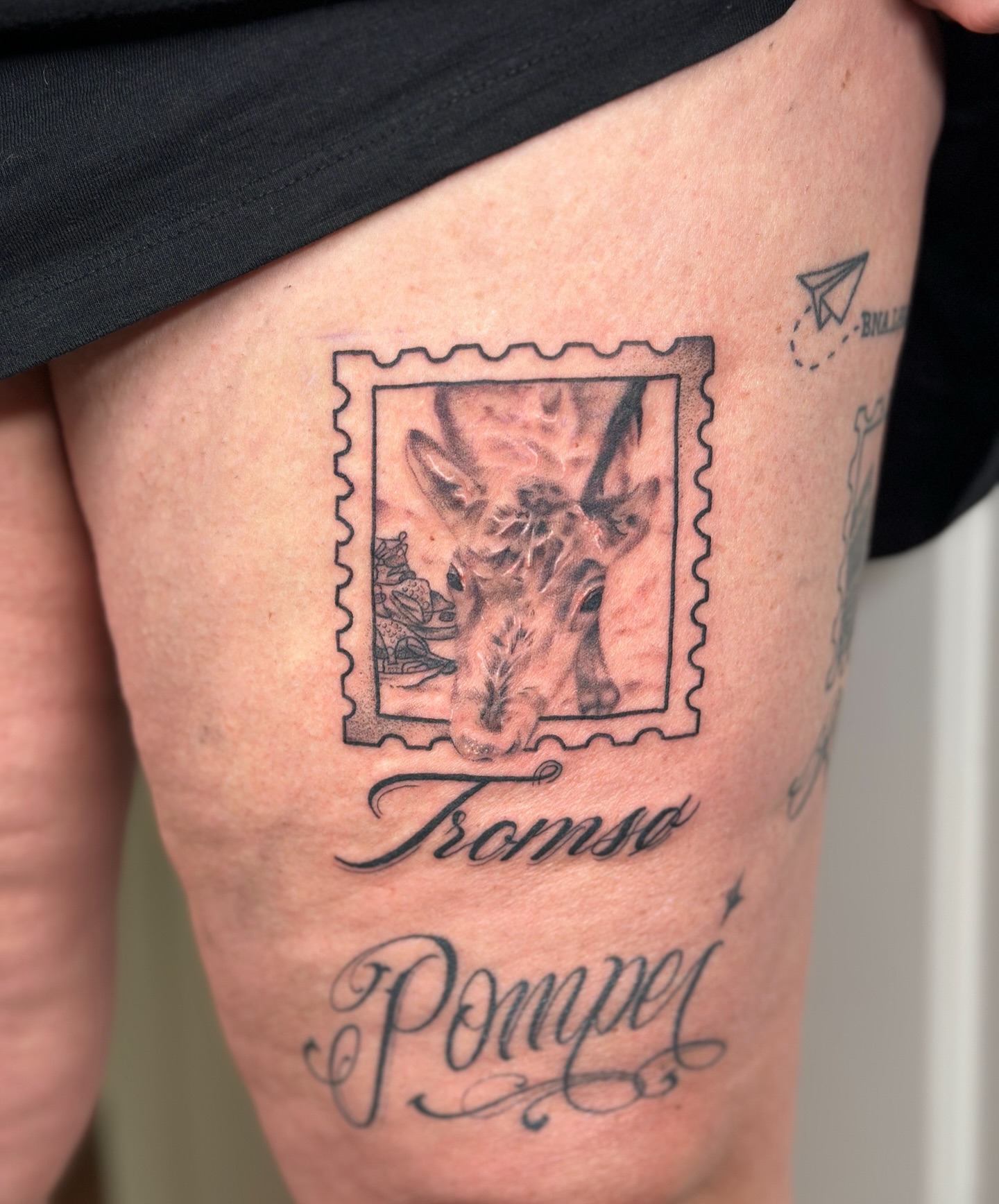 Goat stamp black and grey tattoo on the thigh by Nashville Tattoo Artist - Nicolette Madlyne