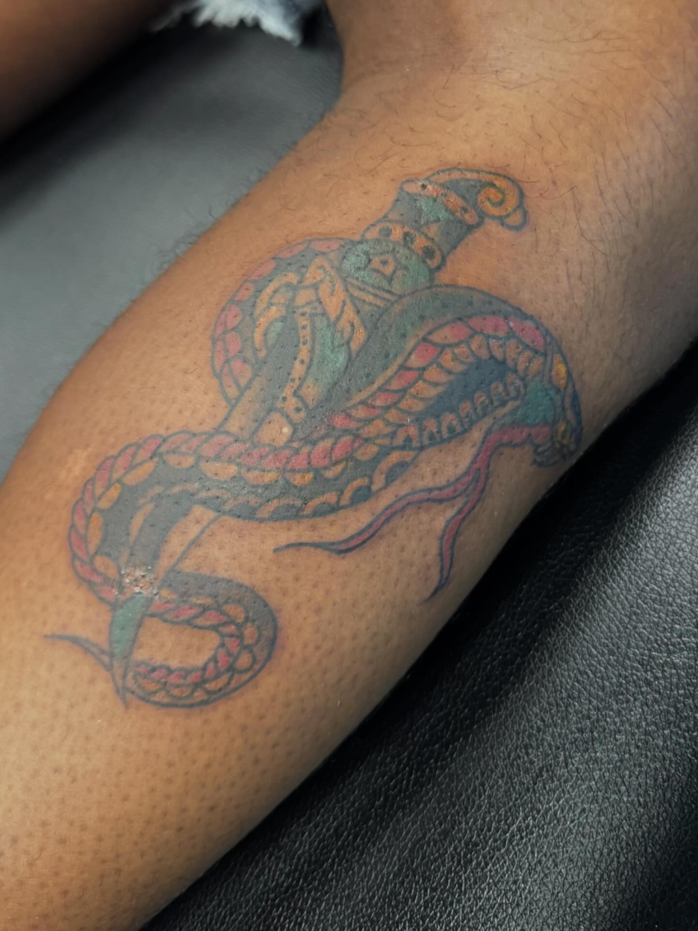 Snake dotwork tattoo on the forearm by 𝗞𝗮𝘁 𝗕𝗹𝗮𝗻𝗸𝗲𝗻𝘀𝗵𝗶𝗽