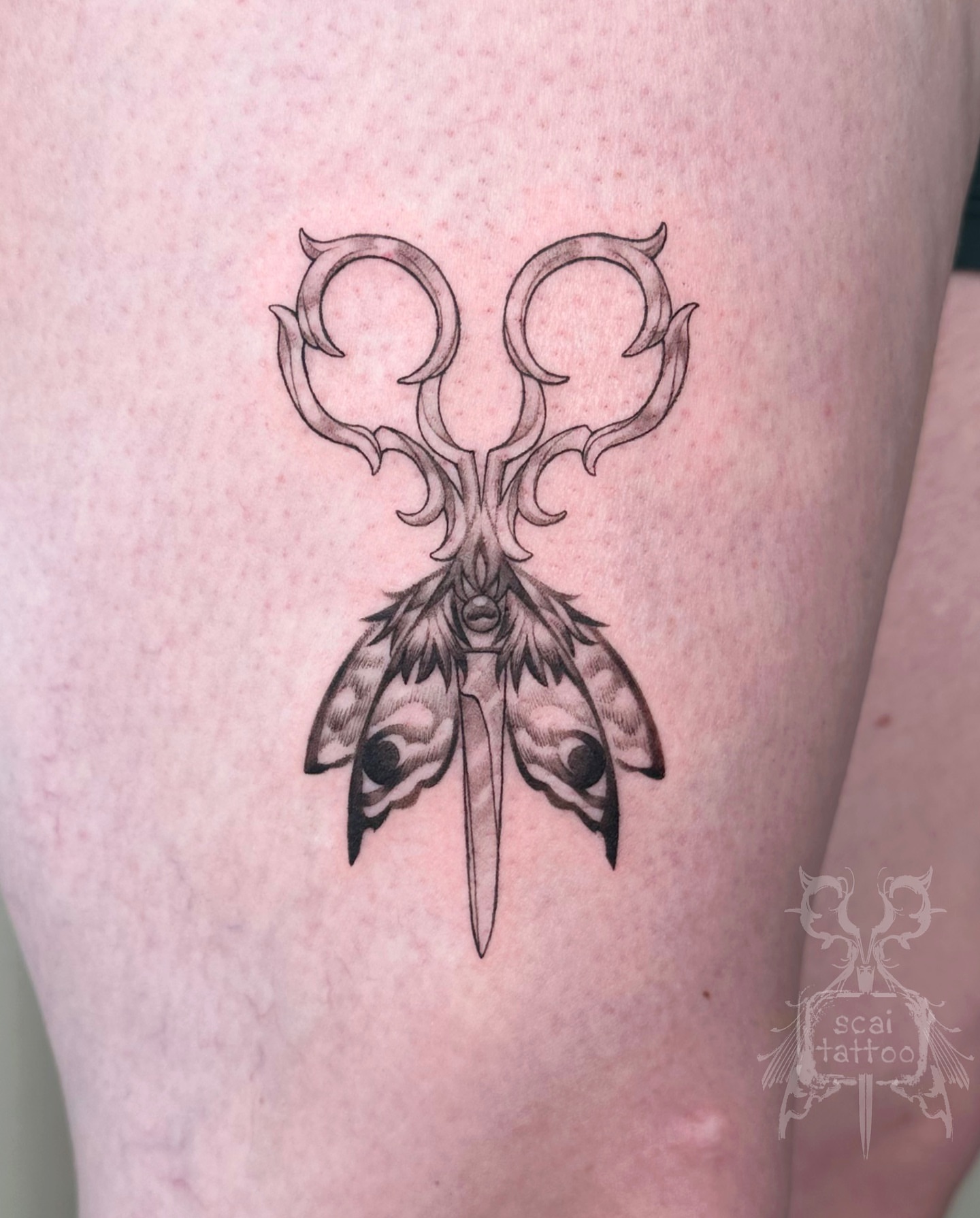 Scissors and moth black and grey tattoo on the thigh by scaitattoo
