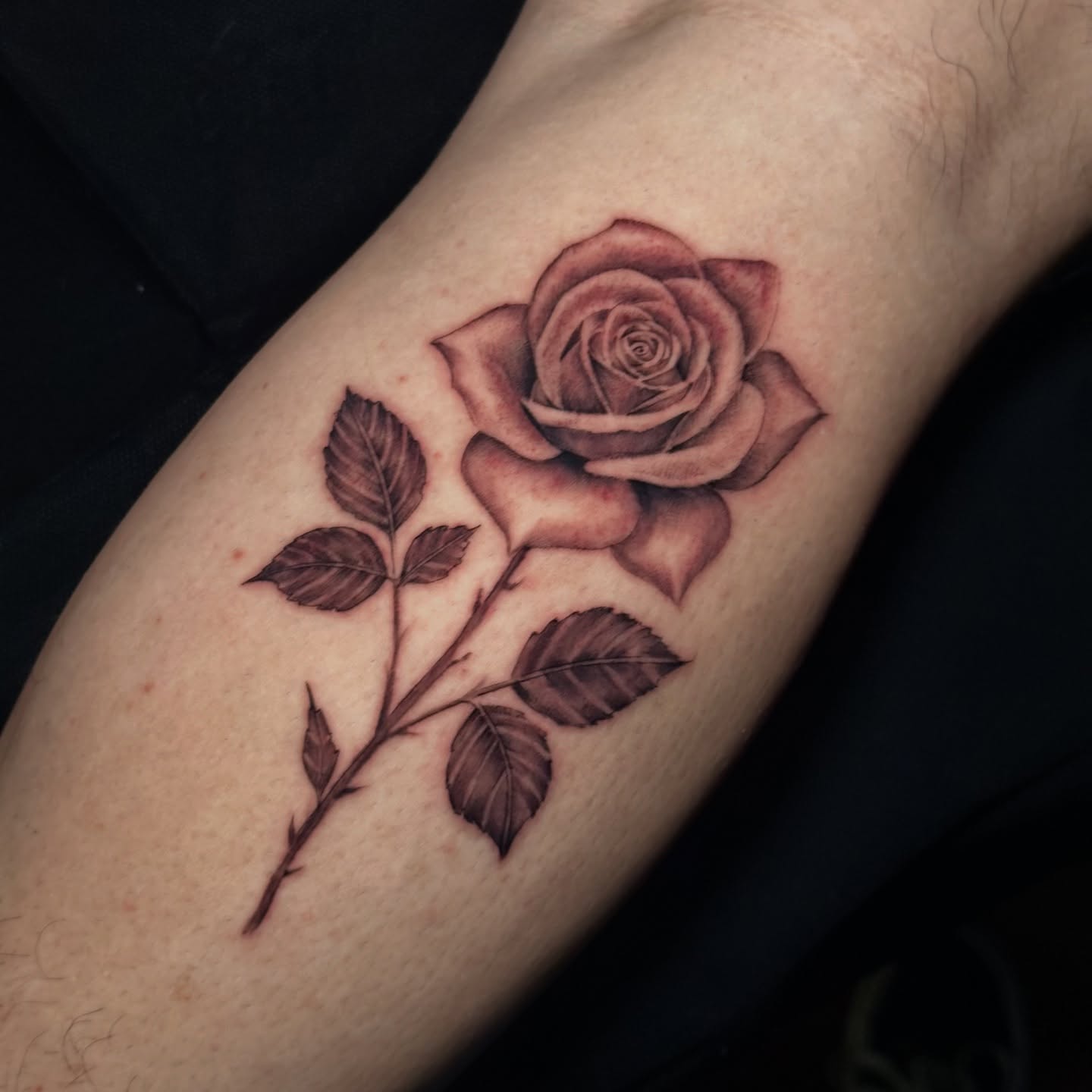 Tattoo by @veranosarttt — realism