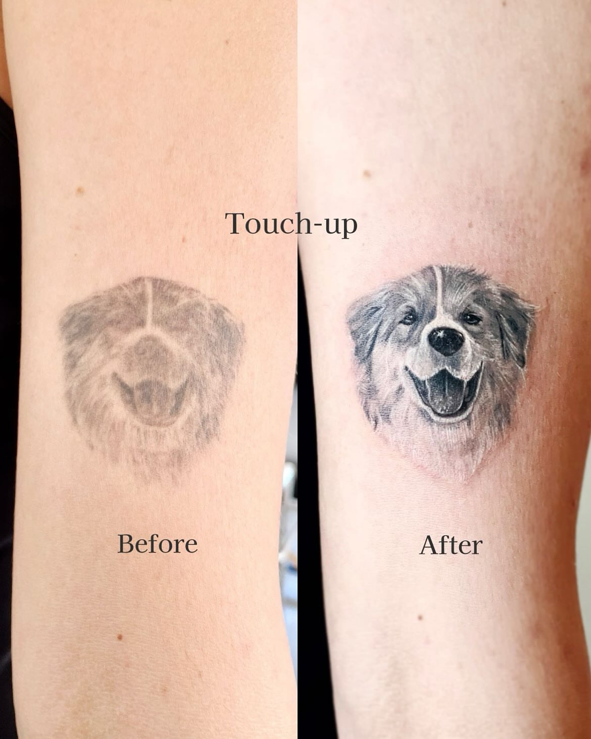 Dog realism tattoo on the forearm by Yeye