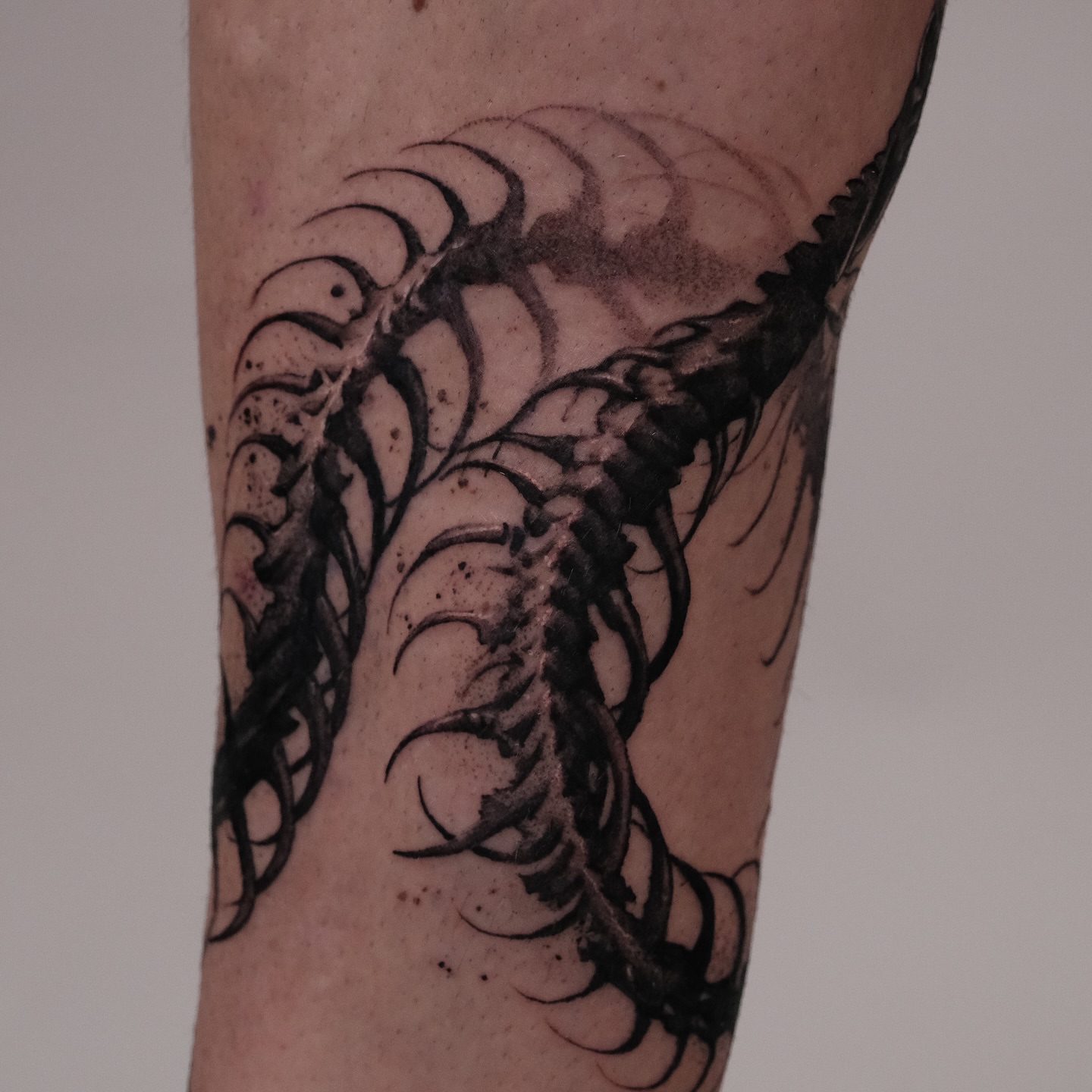 Spine black and grey tattoo on the forearm by Perth tattoo 류, Perth, Western Australia