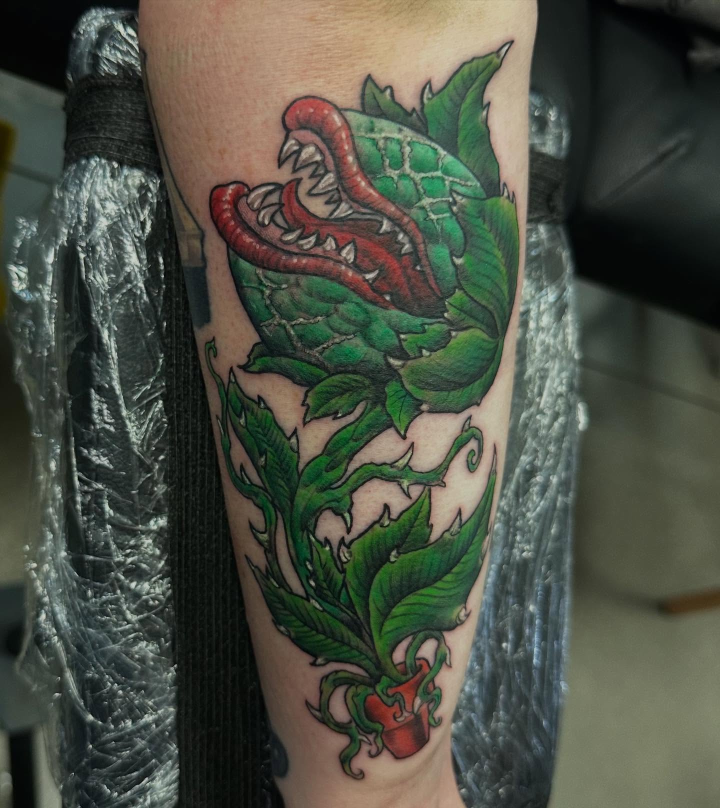 Serpent plant American traditional tattoo on the forearm by Alan