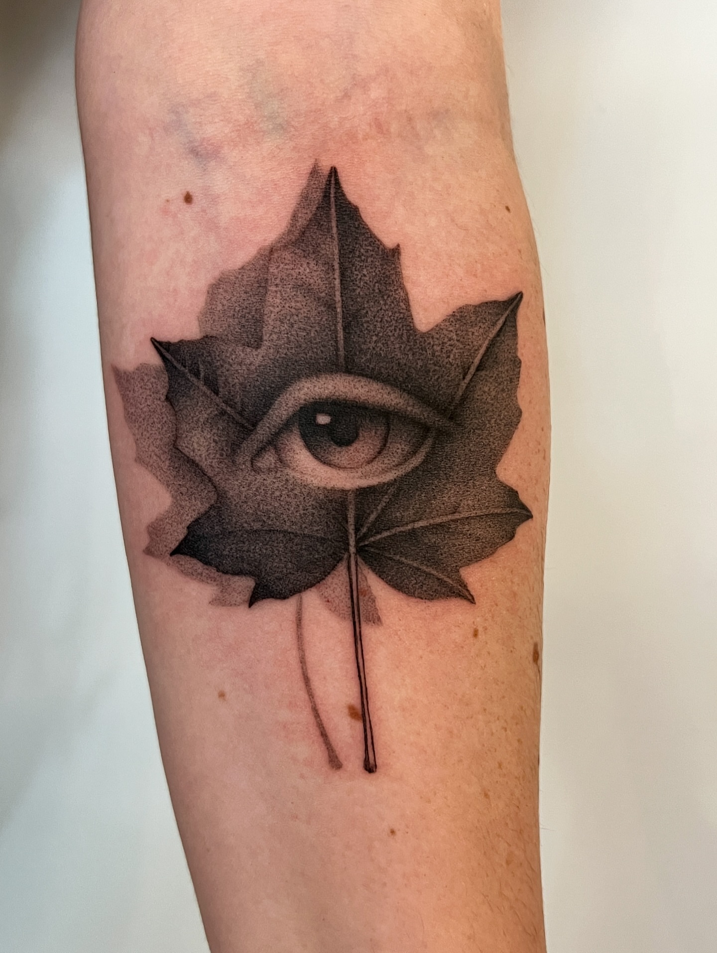 Eye within maple leaf dotwork tattoo on the forearm by 𝑱𝒖𝒍𝒊𝒂𝒏𝒏𝒂 𝑴𝒆𝒏𝒏𝒂✥𝑷𝒉𝒊𝒍𝒂𝒅𝒆𝒍𝒑𝒉𝒊𝒂✥𝑩𝒍𝒂𝒄𝒌 𝒂𝒏𝒅 𝑮𝒓𝒂𝒚