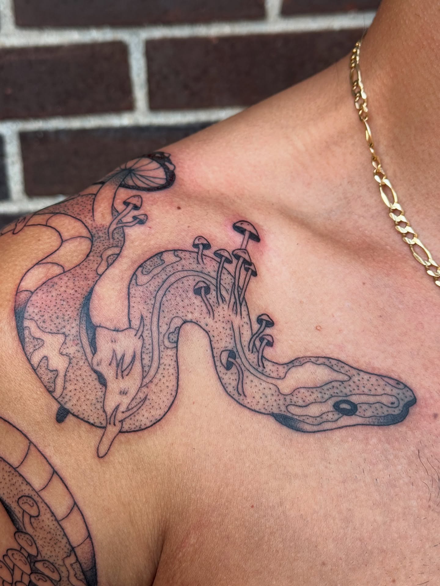 Snake dotwork tattoo on the shoulder by Milo