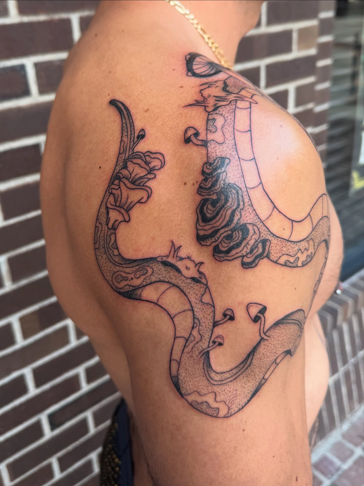 Snake and roses dotwork tattoo on the shoulder by Milo