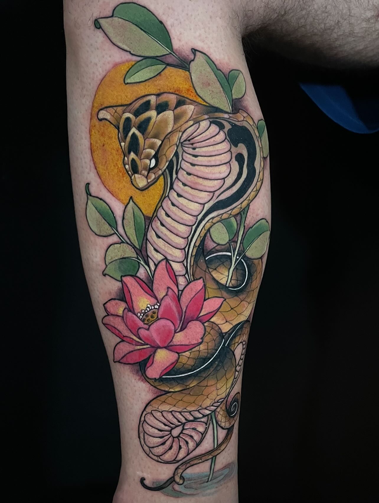 Snake and lotus American traditional tattoo on the forearm by ✨𝕄𝕚𝕜𝕖 𝕆’𝔽𝕒𝕣𝕣𝕖𝕝𝕝✨, Denver, Colorado