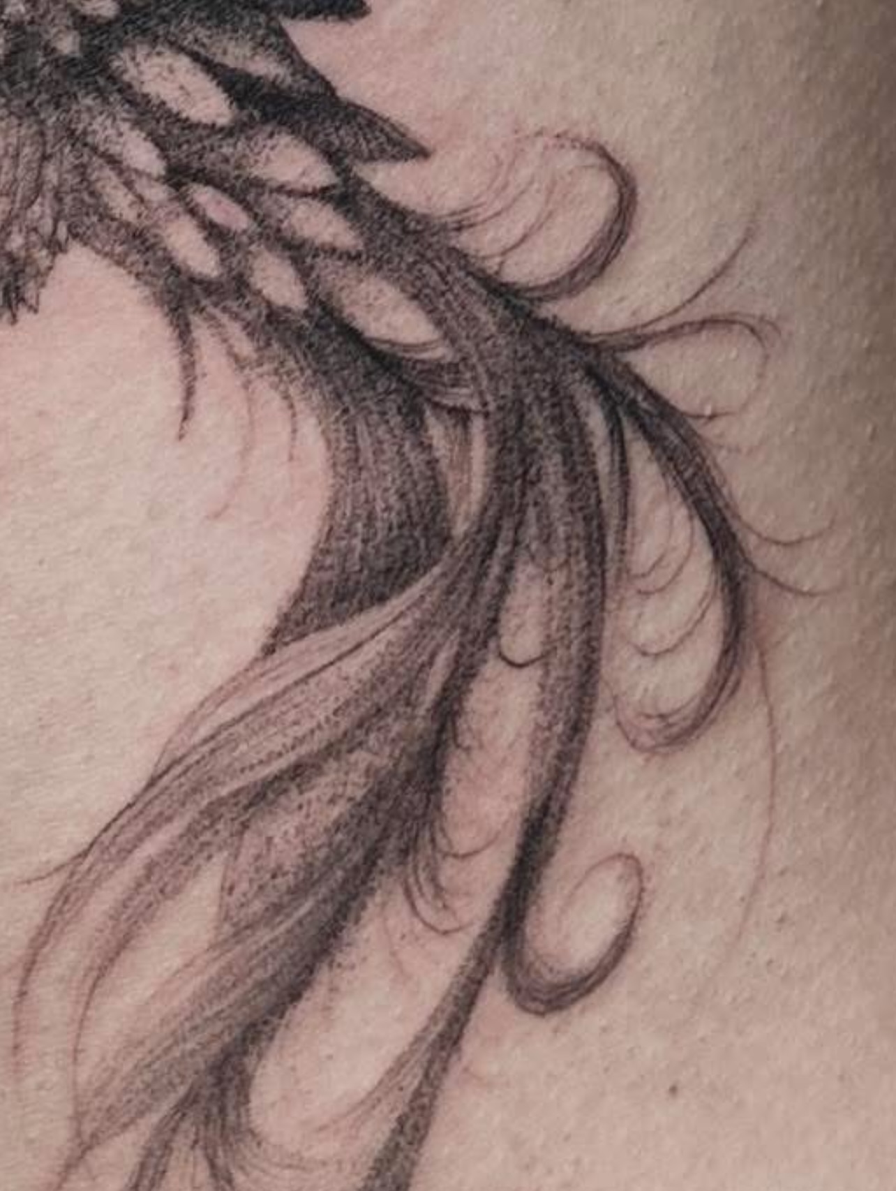 Feather black and grey tattoo on the upper arm by Arhem Quiambao