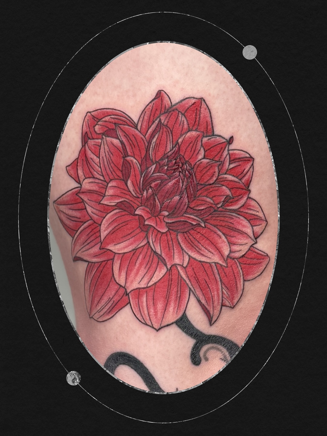 Red dahlia realism tattoo by Sydney