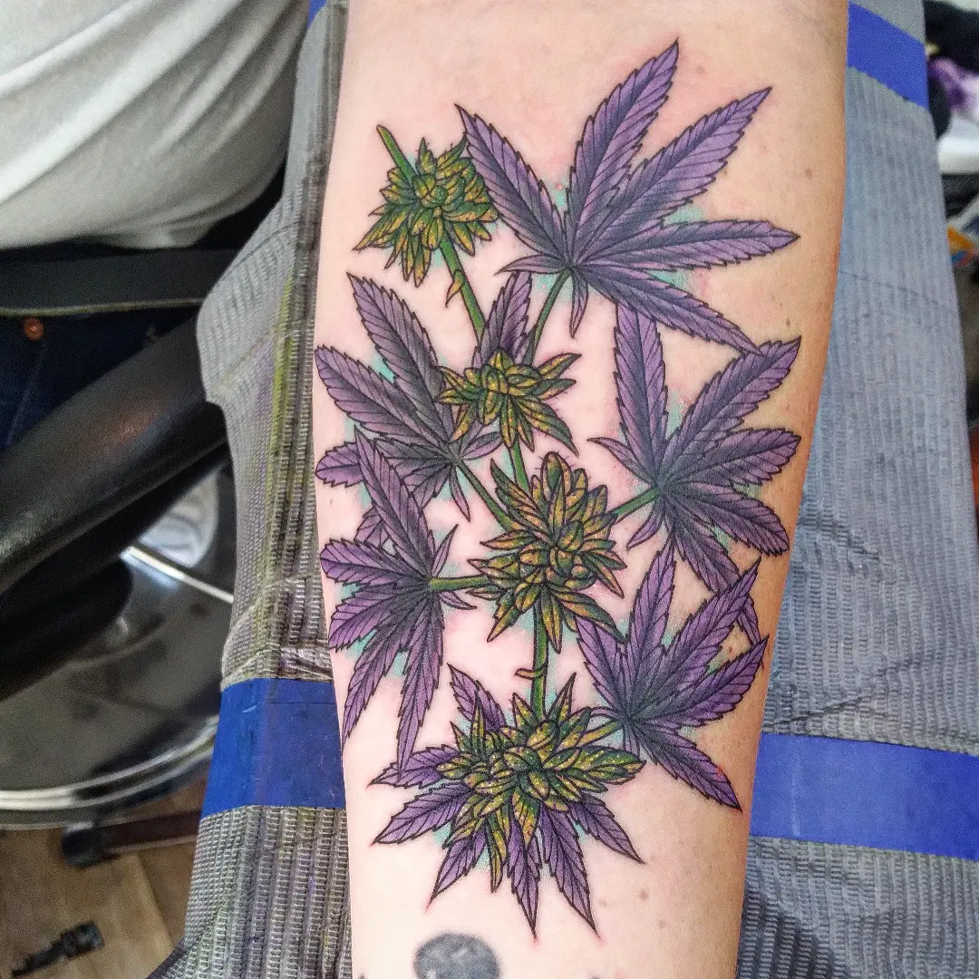Marijuana plant new school tattoo on the forearm by Josh Sroga