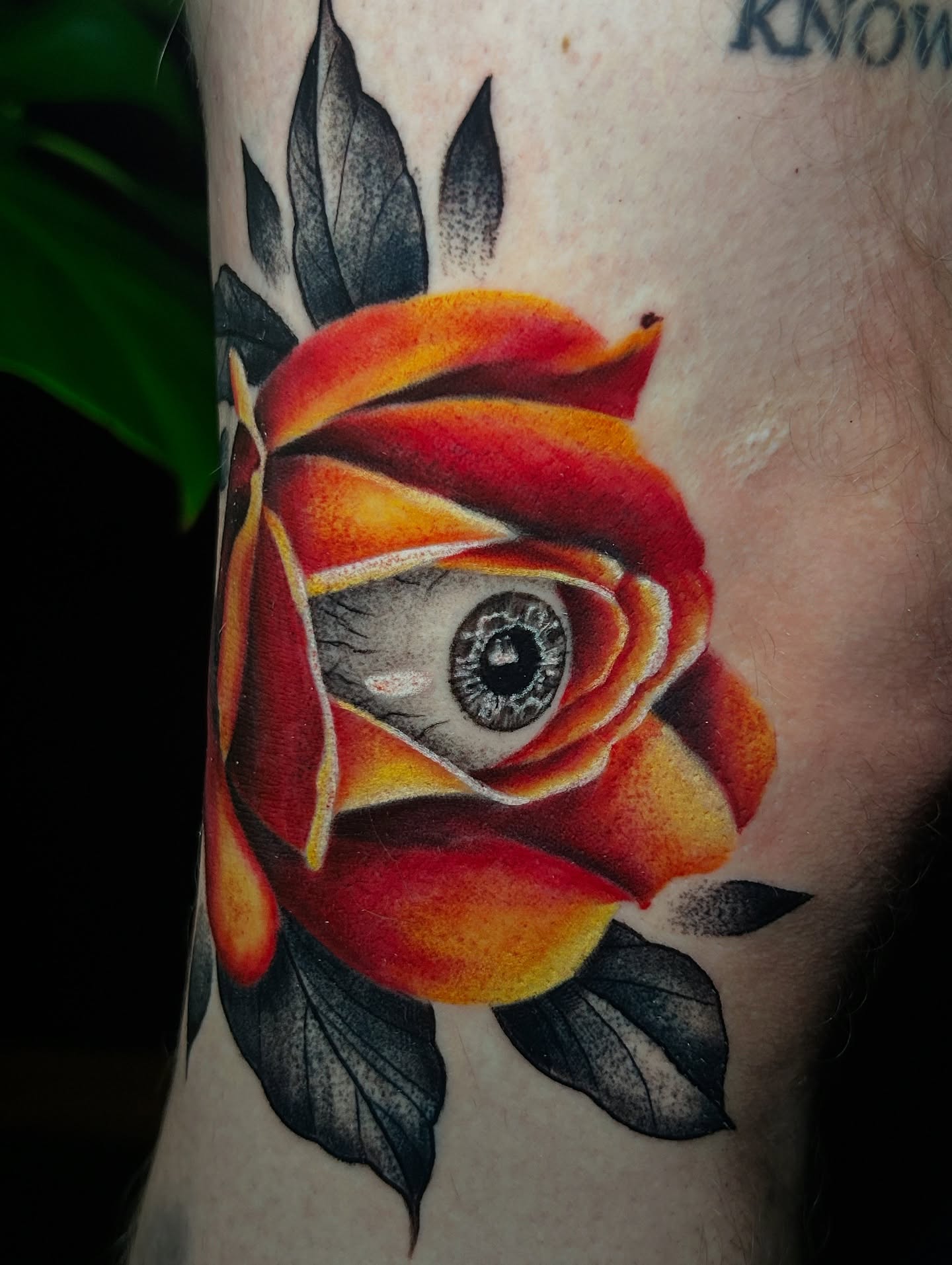 Eye within a rose realism tattoo on the forearm by Vanessa Kendyll’s Tattoos