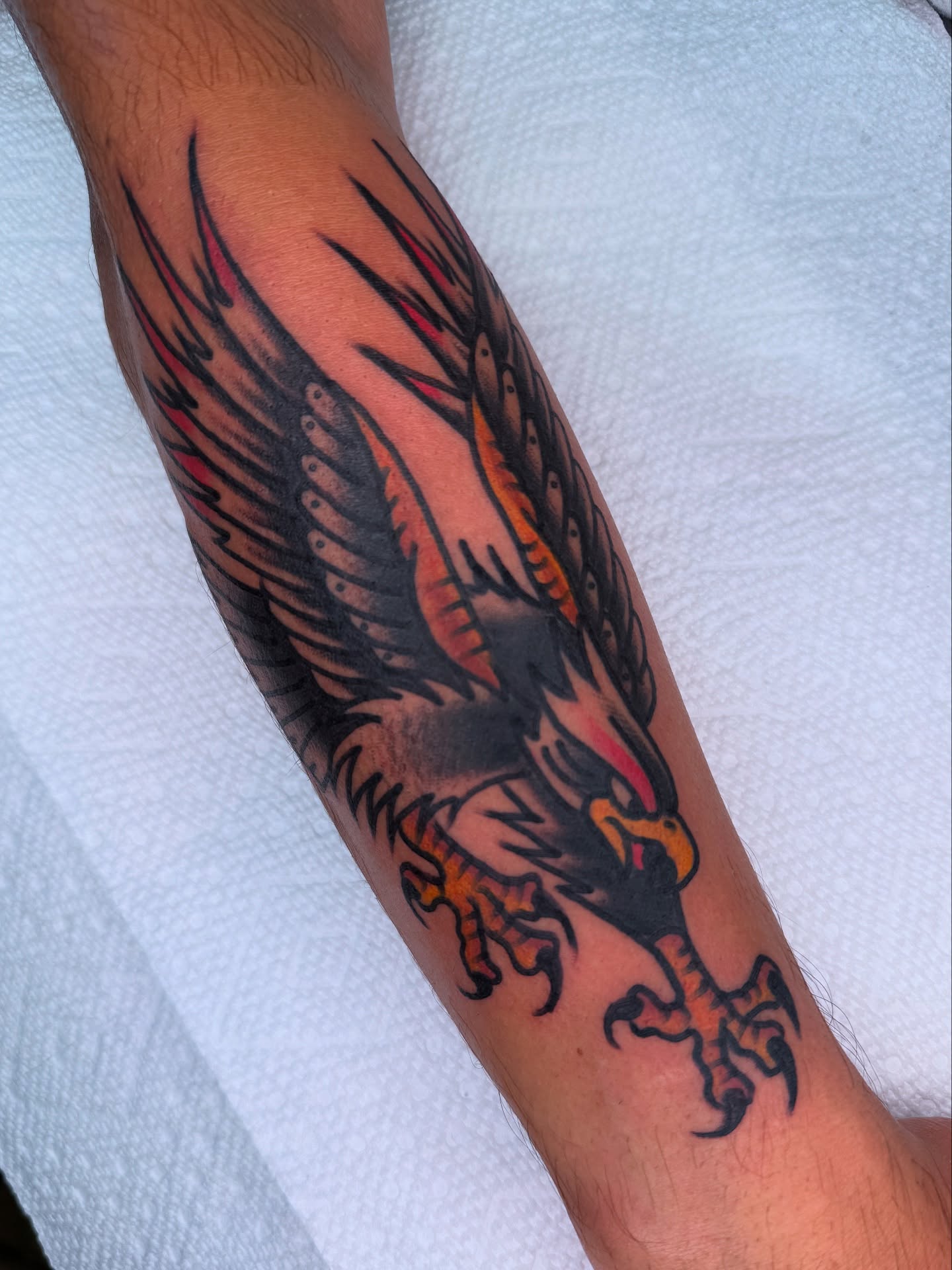 Eagle American traditional tattoo on the forearm by Tony Kaplan