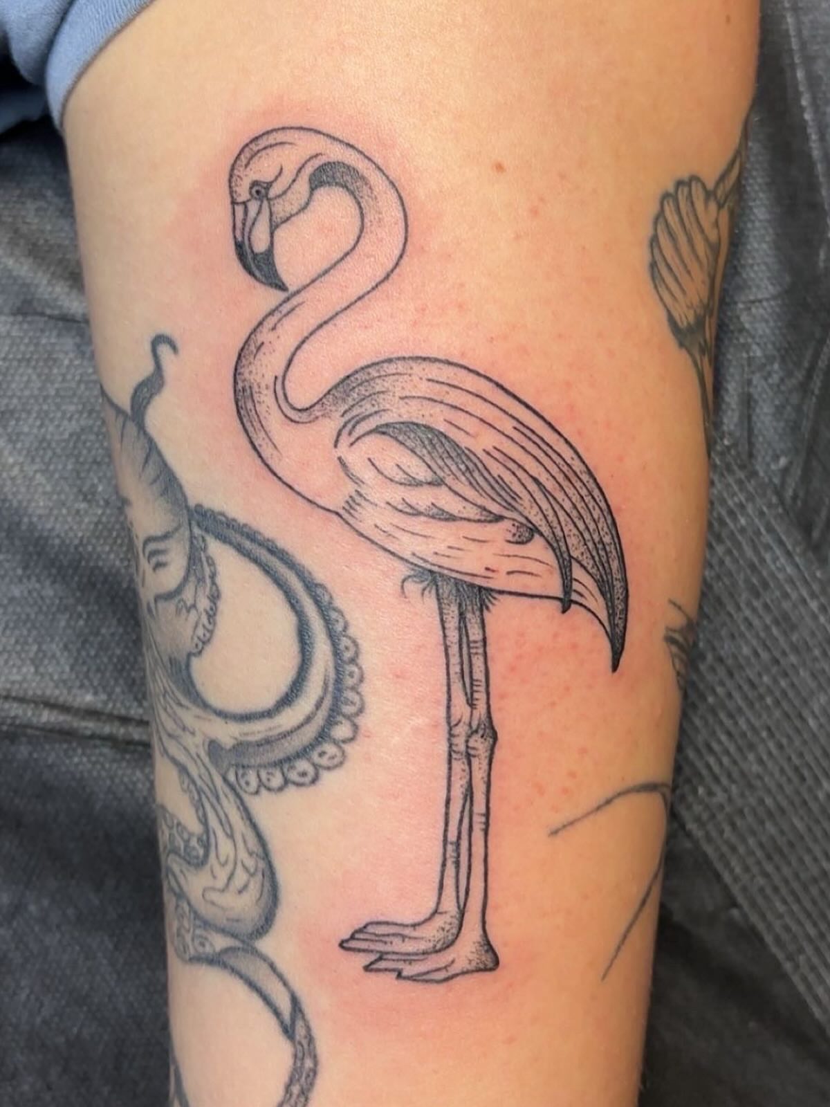 Flamingo and octopus dotwork tattoo on the forearm by Molly Dixon