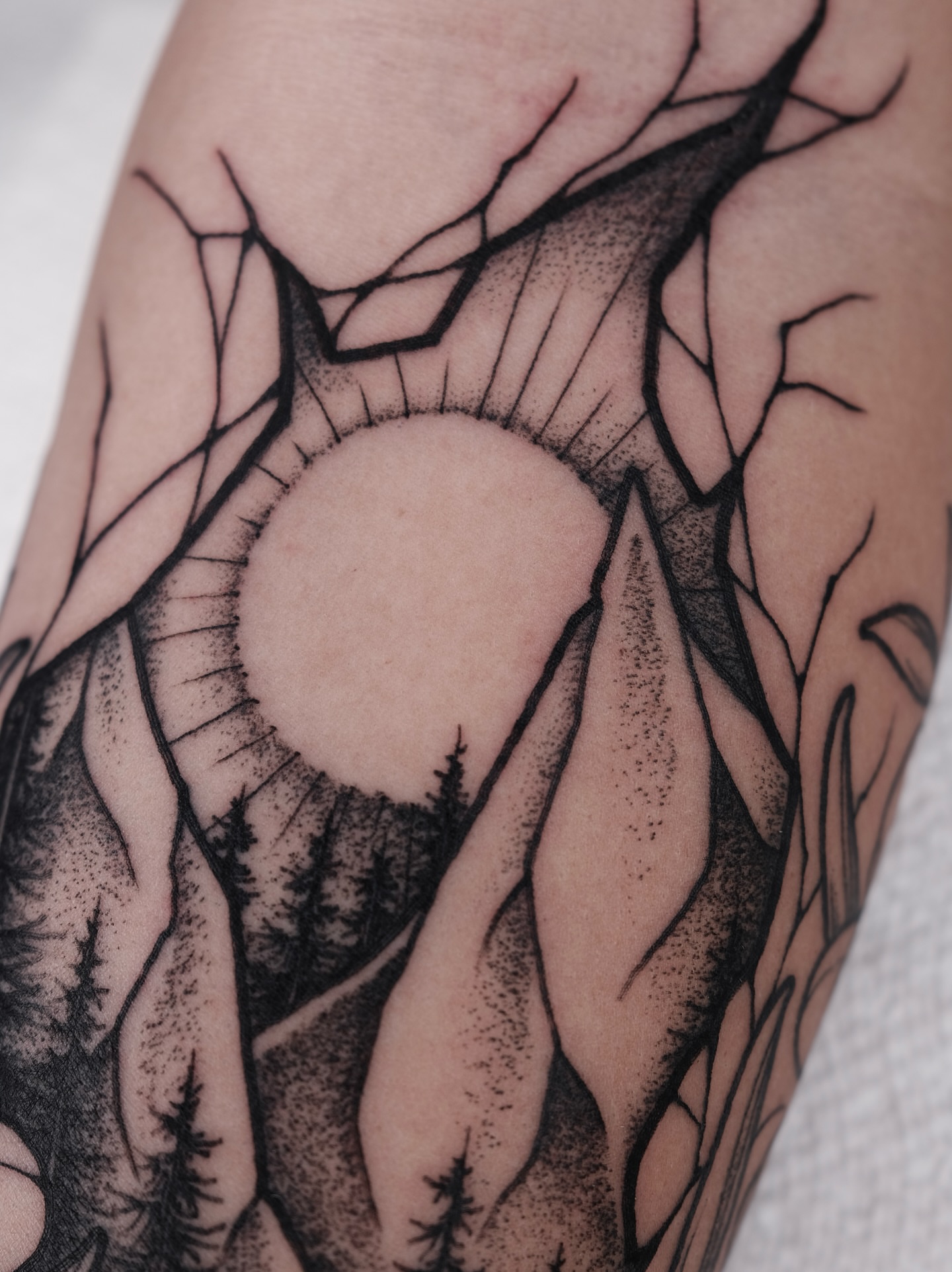 Tattoo by @kylepatricktattoo — dotwork, black_and_grey
