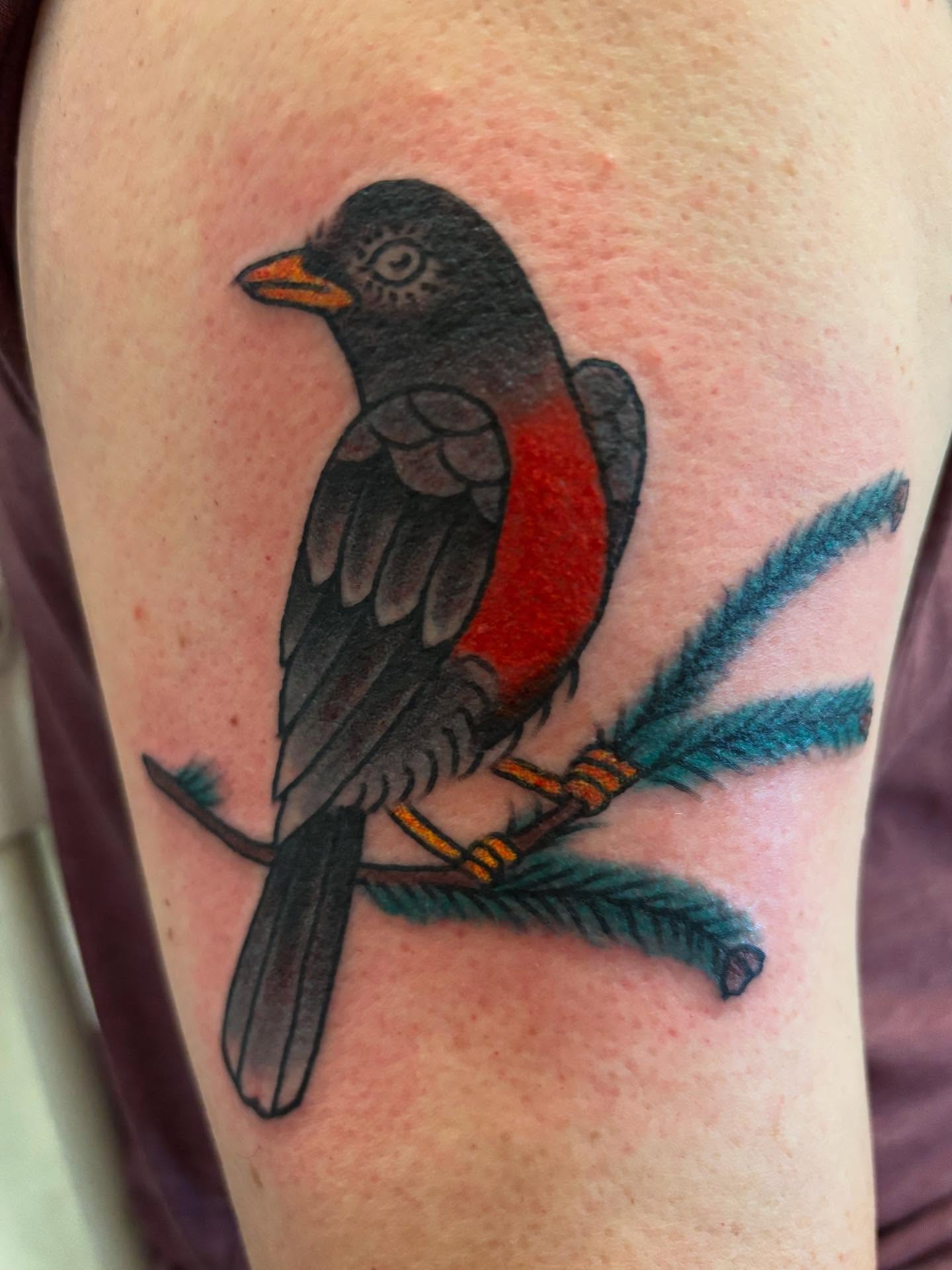 Bird realism tattoo on the upper arm by Angie Isbell